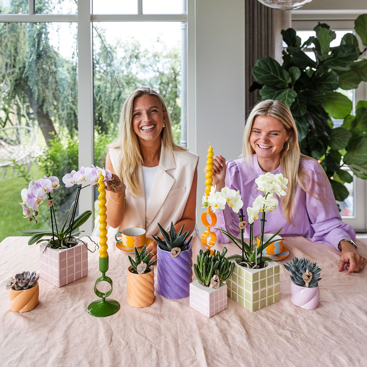 roze phalaenopsis orchidee Portugal + Mosa sierpot roze (8785279223283)