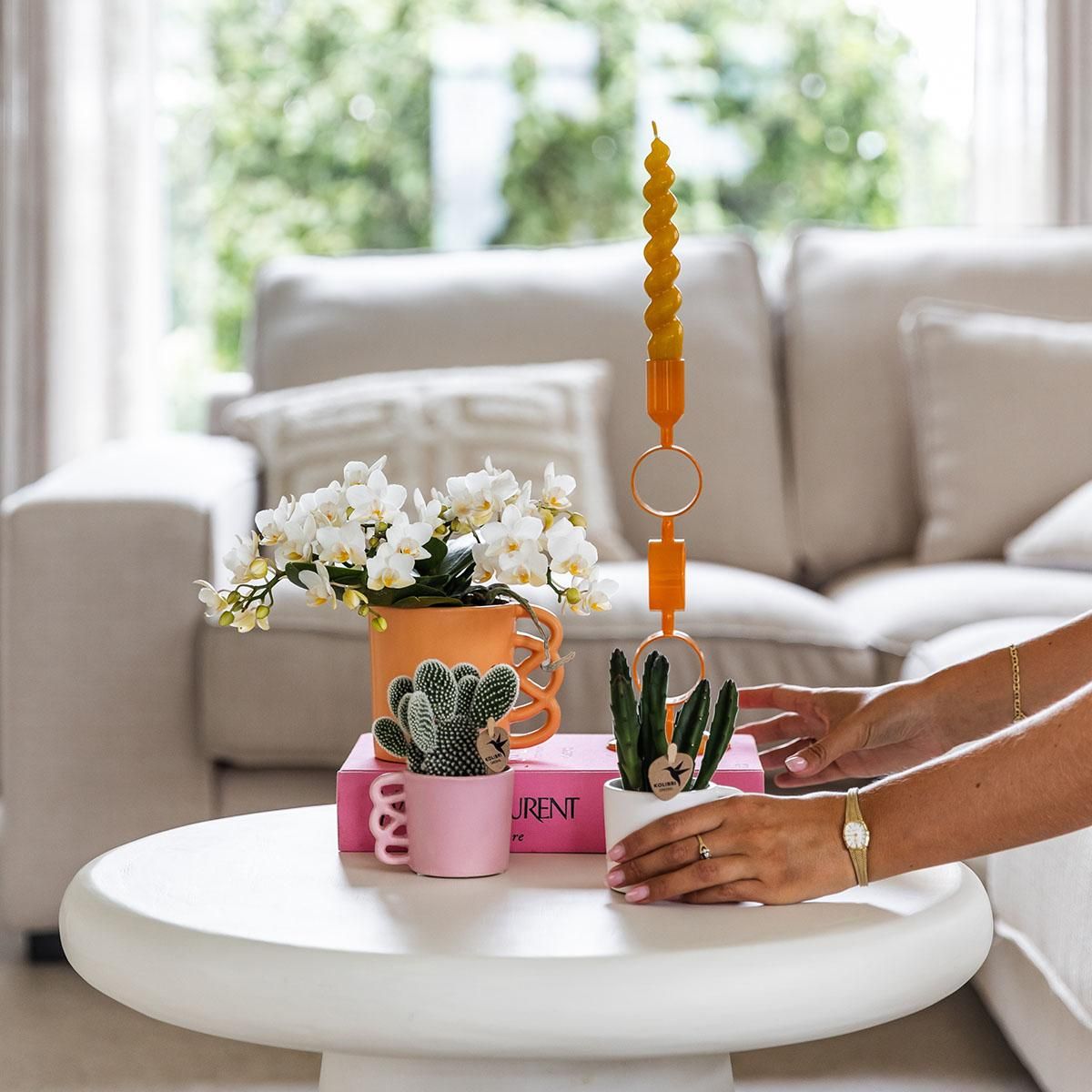 Witte phalaenopsis orchidee - Nazaré (8785279223344)