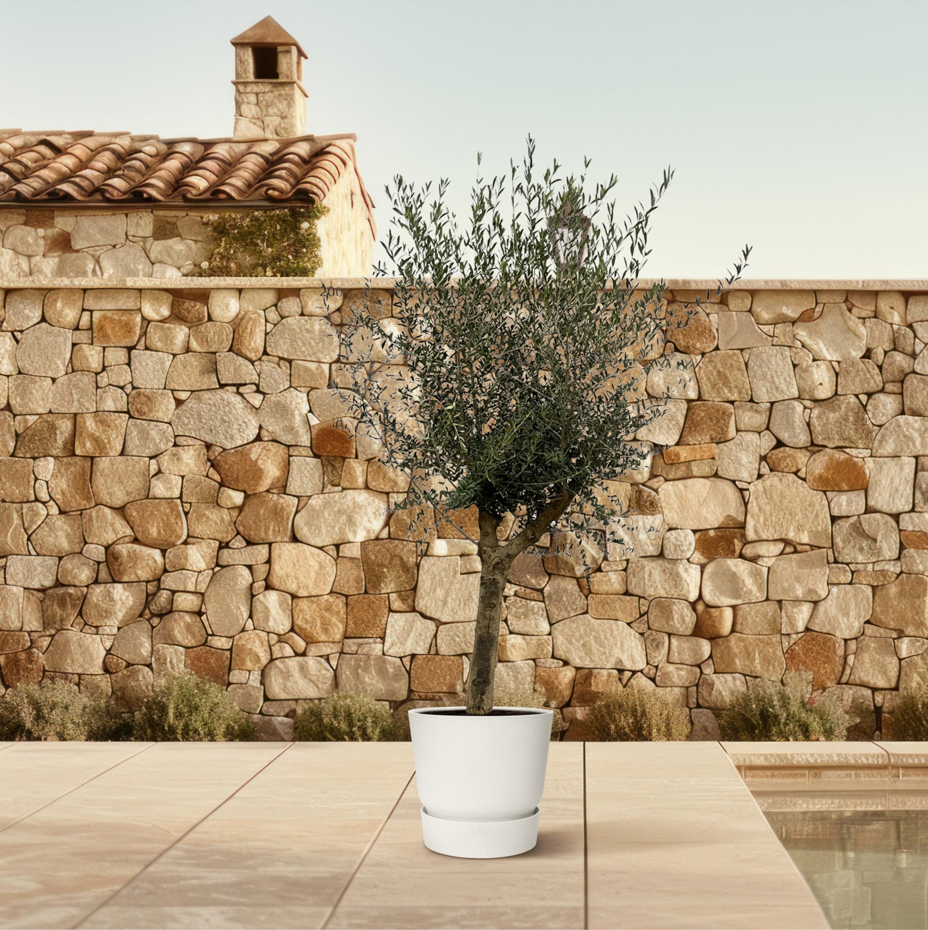 Olea Lorc - 200 cm - Ø45cm (8721081685581)