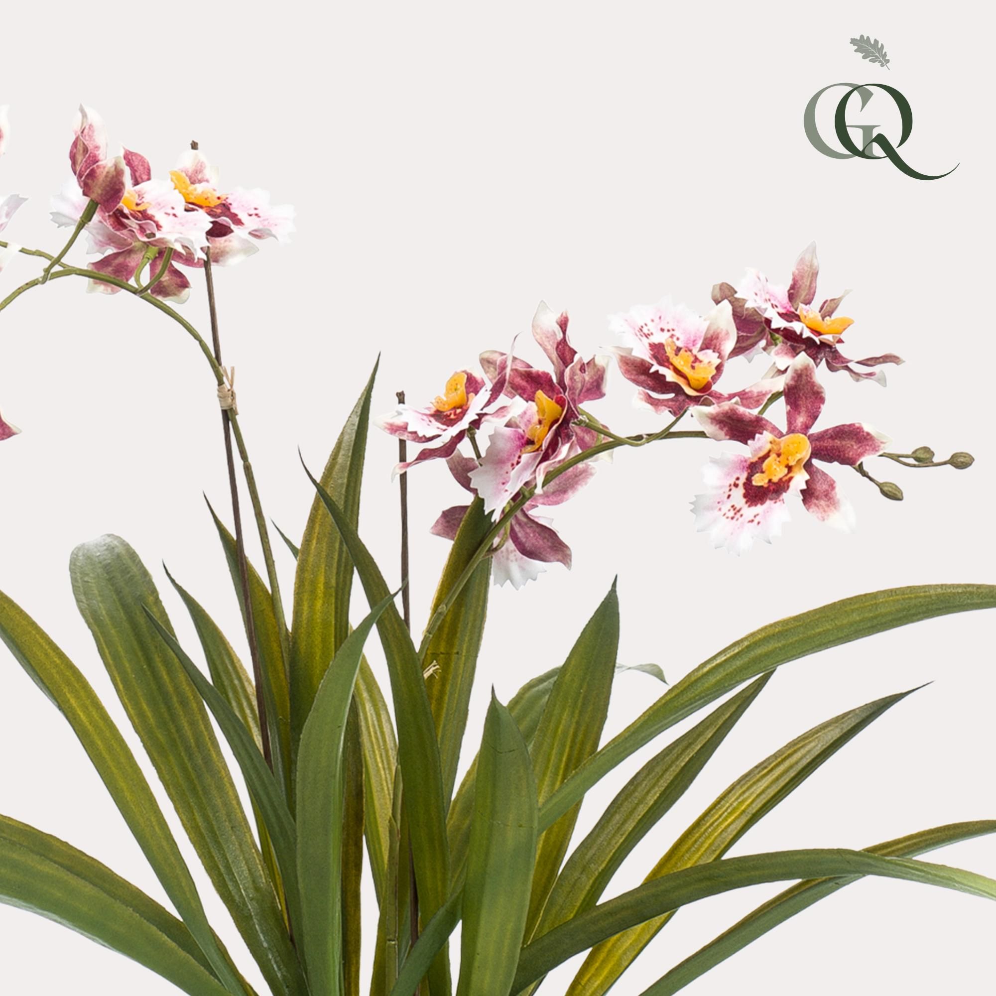 Kunstplant - Orchidee - Bordeaux (8720872541761)