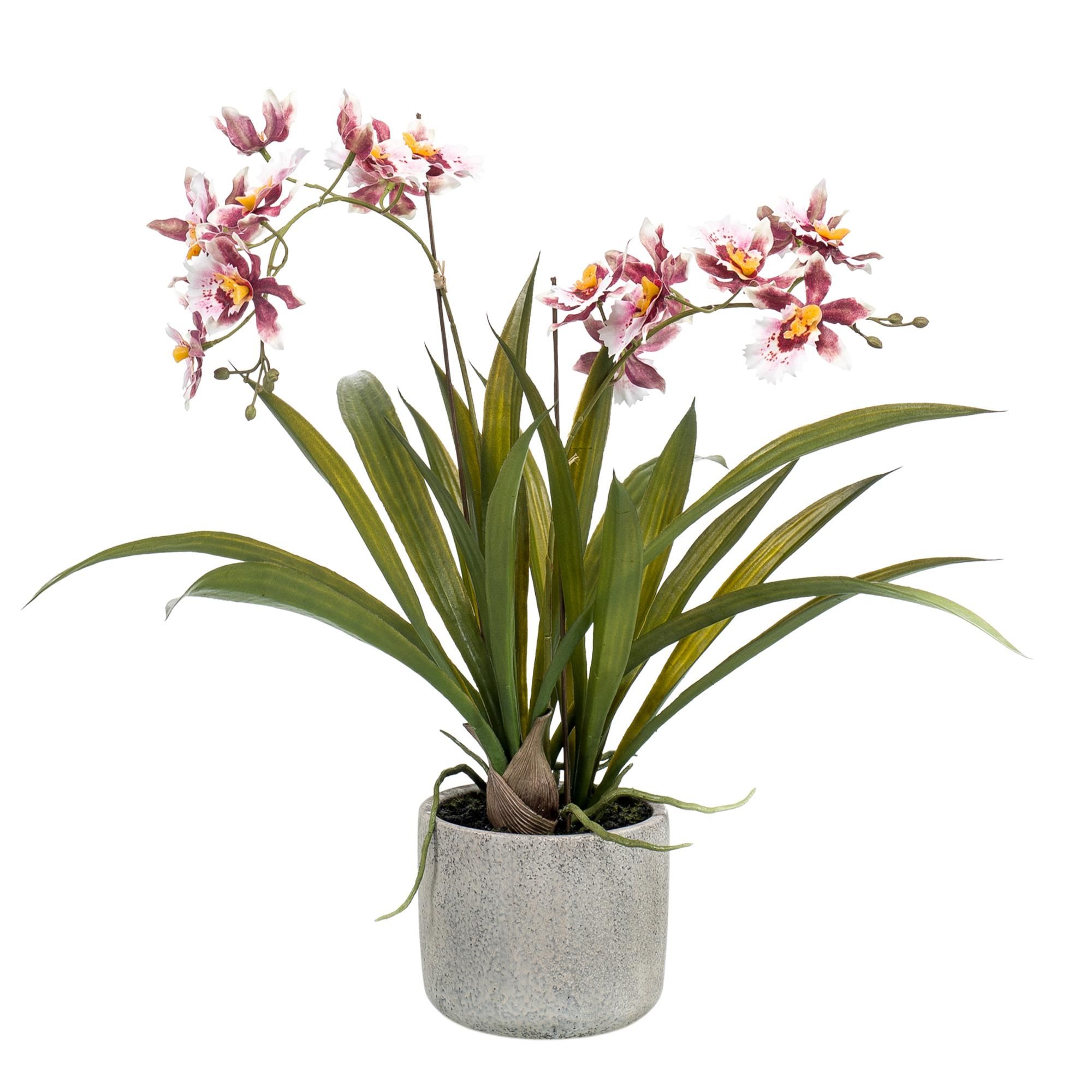 Kunstplant - Orchidee - Bordeaux (8720872541761)