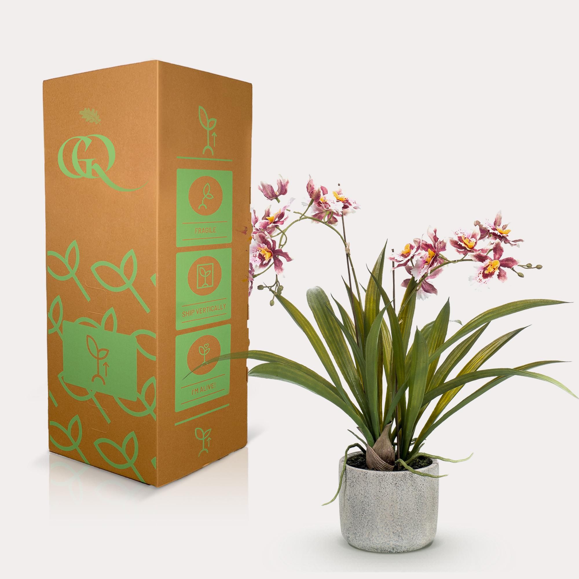 Kunstplant - Orchidee - Bordeaux (8720872541761)
