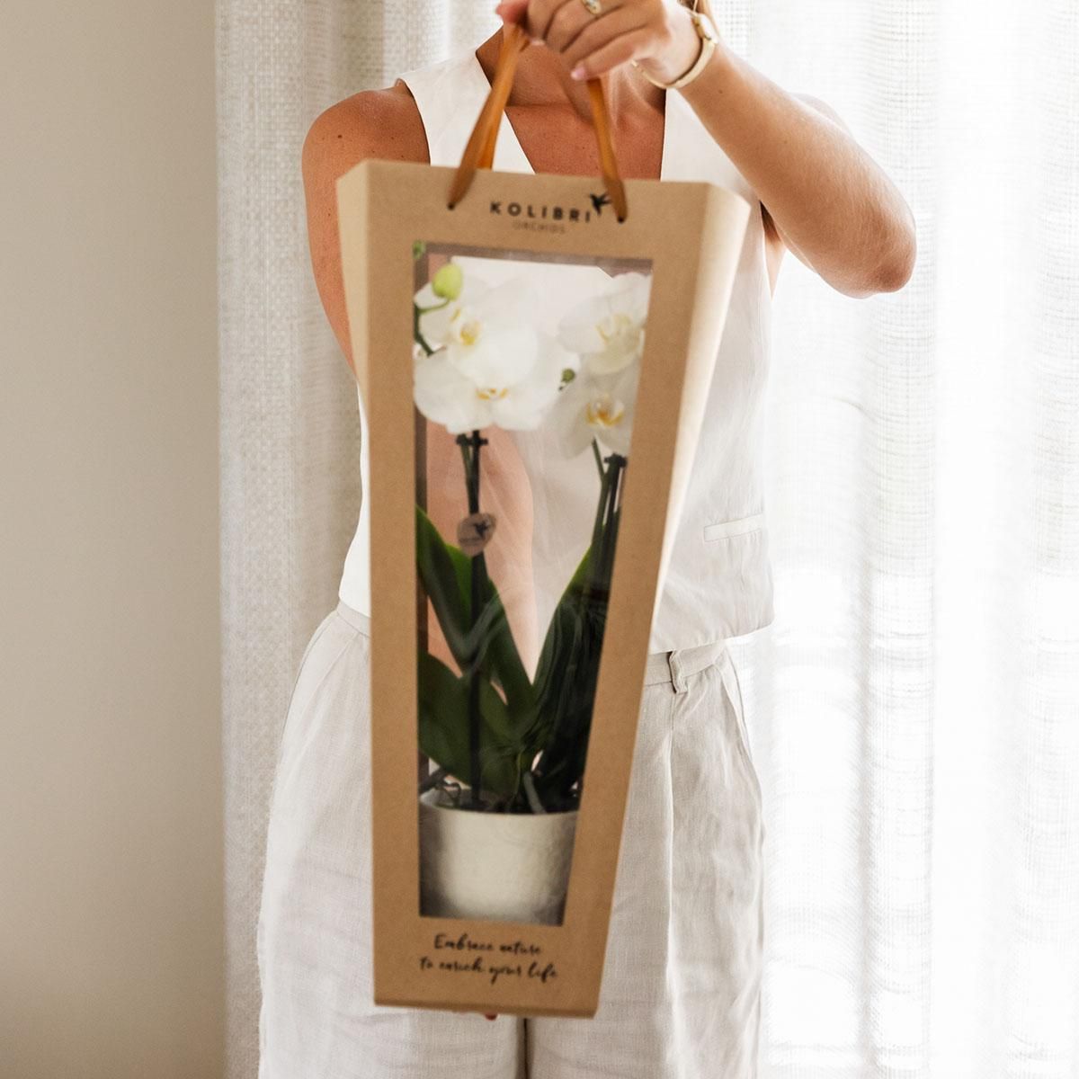Planten cadeau beterschap | Lausanne orchidee met pot, kaart & cadeautas (7865885328976)