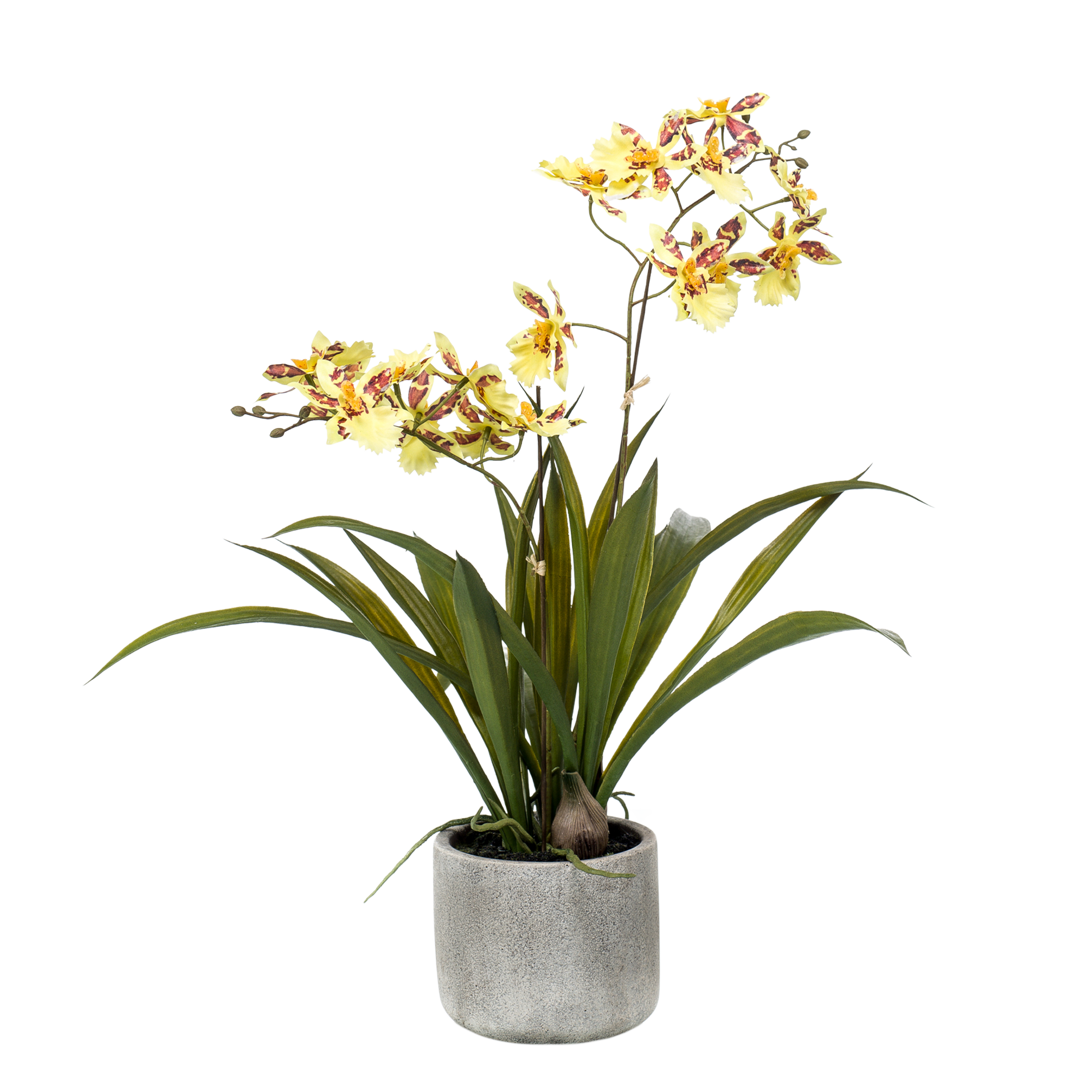 Kunstplant - Orchidee - Geel (8720872541754)