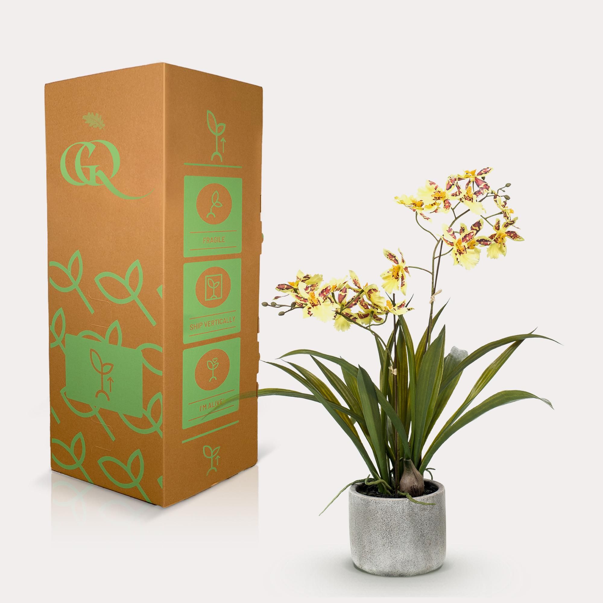 Kunstplant - Orchidee - Geel (8720872541754)