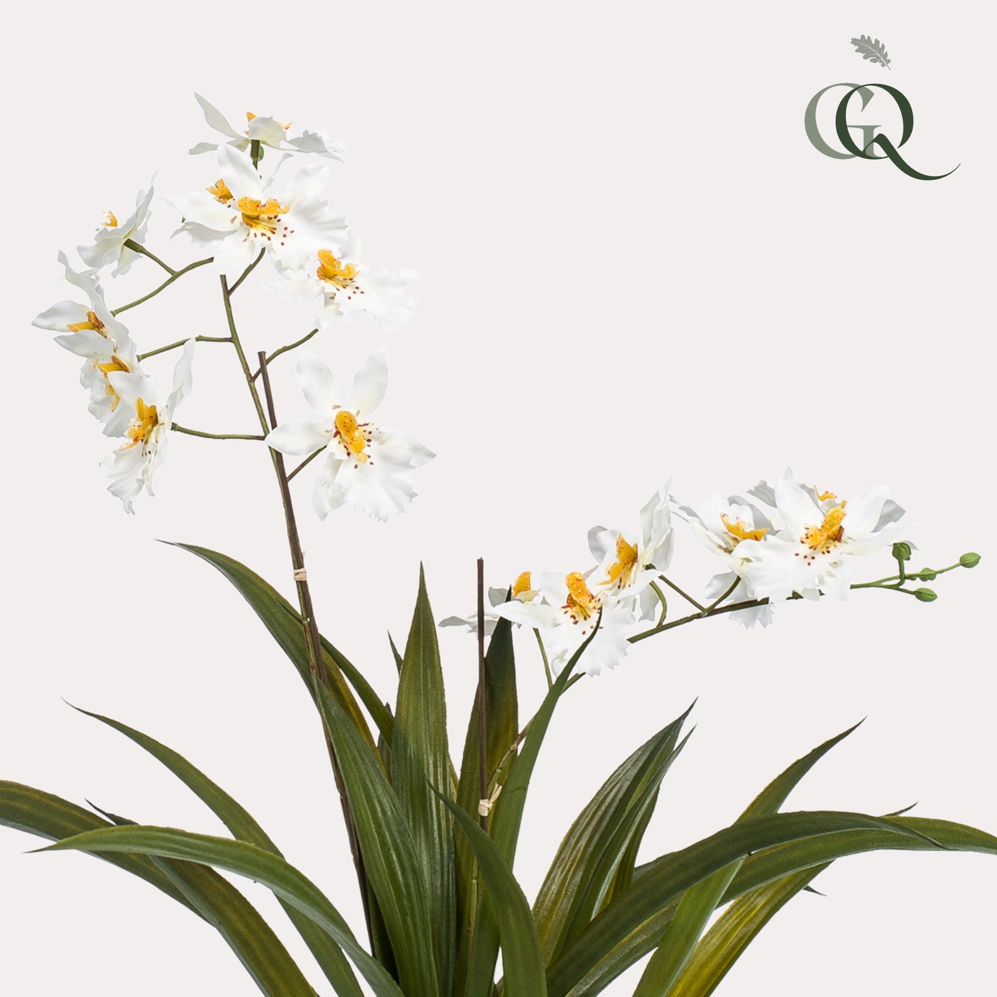 Kunstplant - Orchidee - Wit (8720872541747)