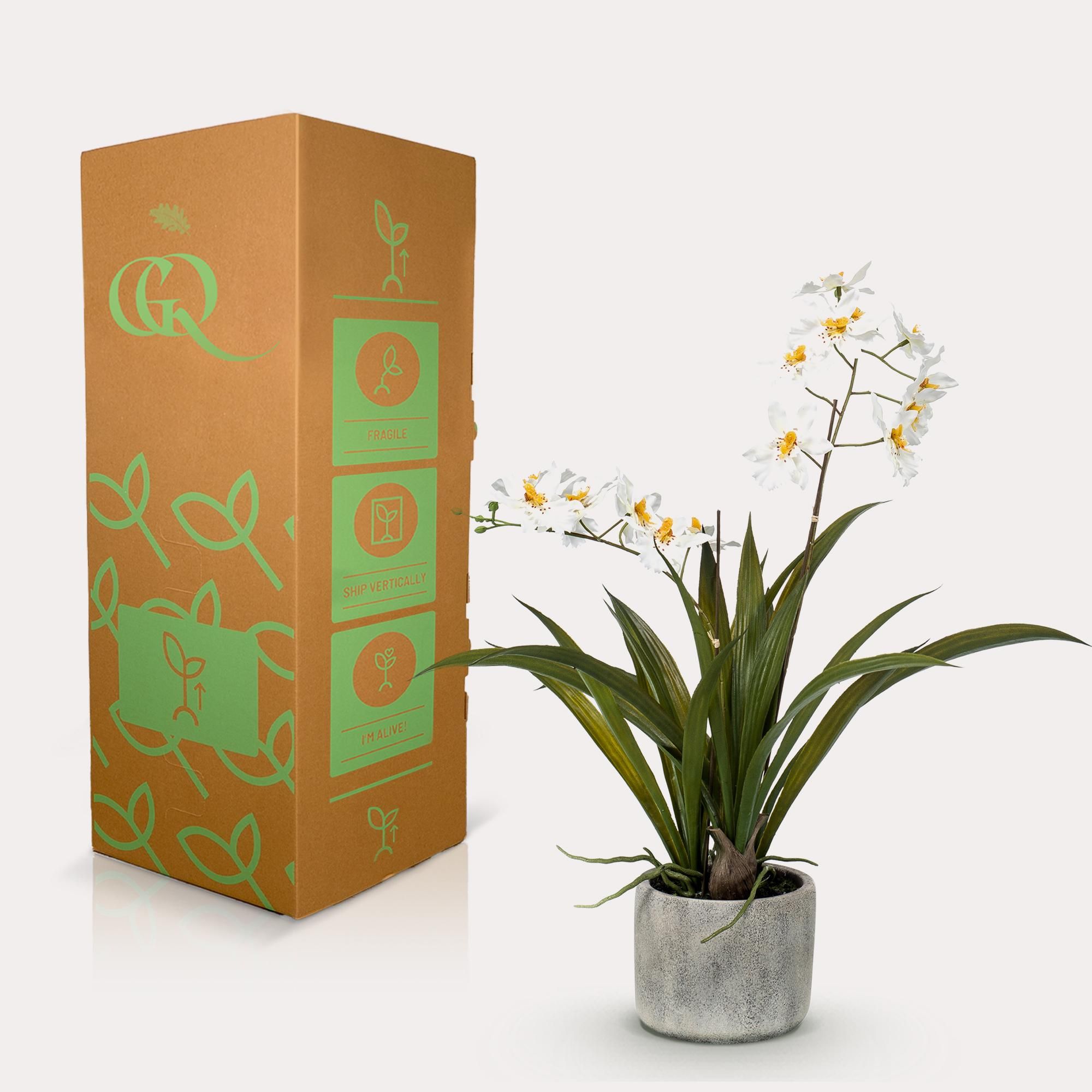 Kunstplant - Orchidee - Wit (8720872541747)