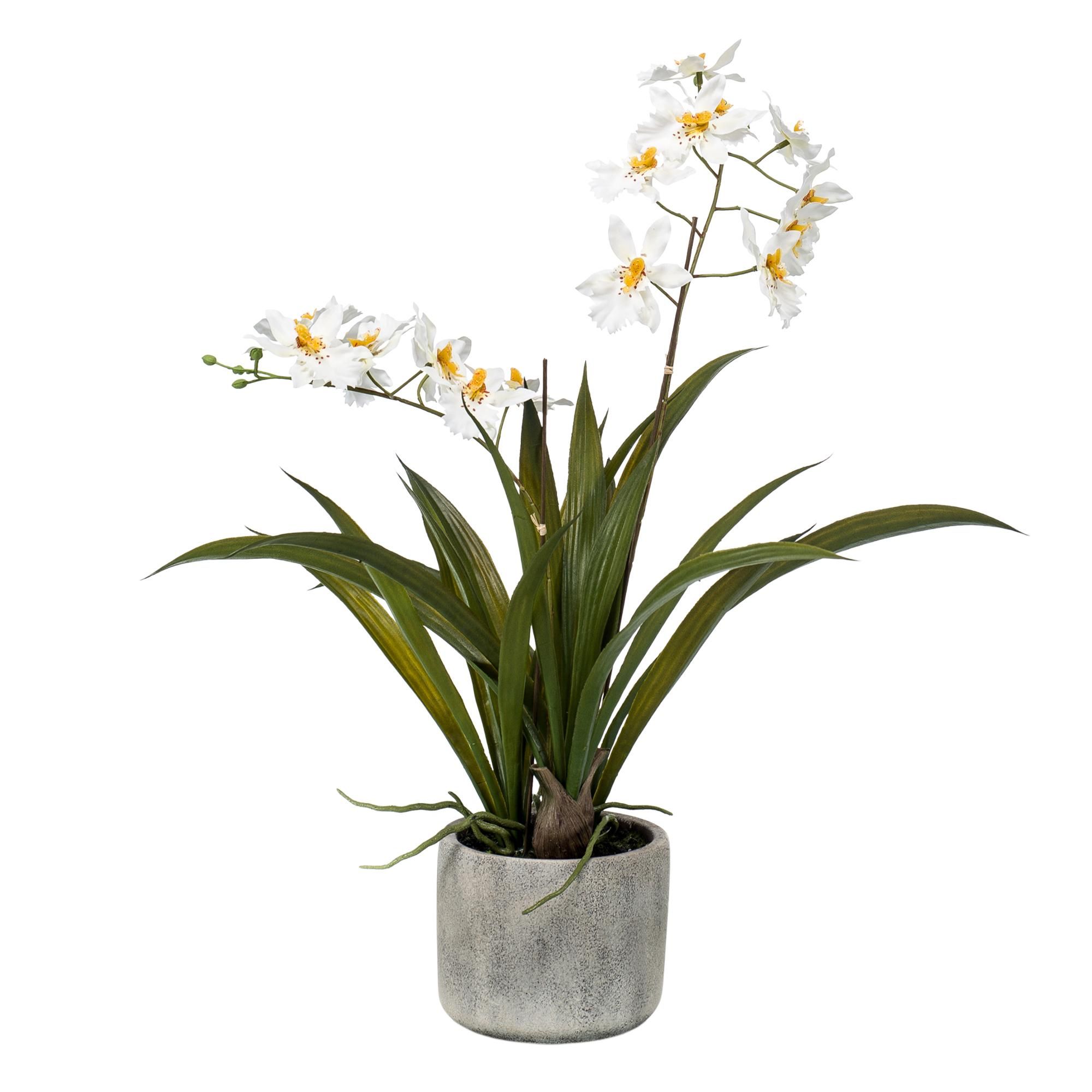 Kunstplant - Orchidee - Wit (8720872541747)