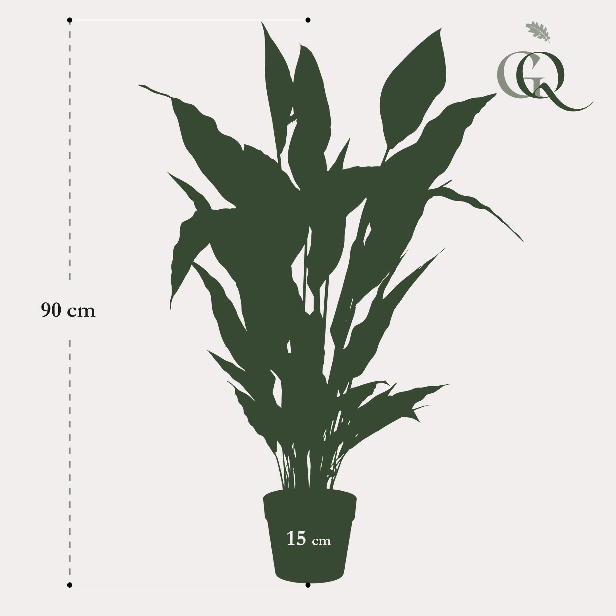 kunstplant - Spathiphyllum - Lepelplant (8720872542225)