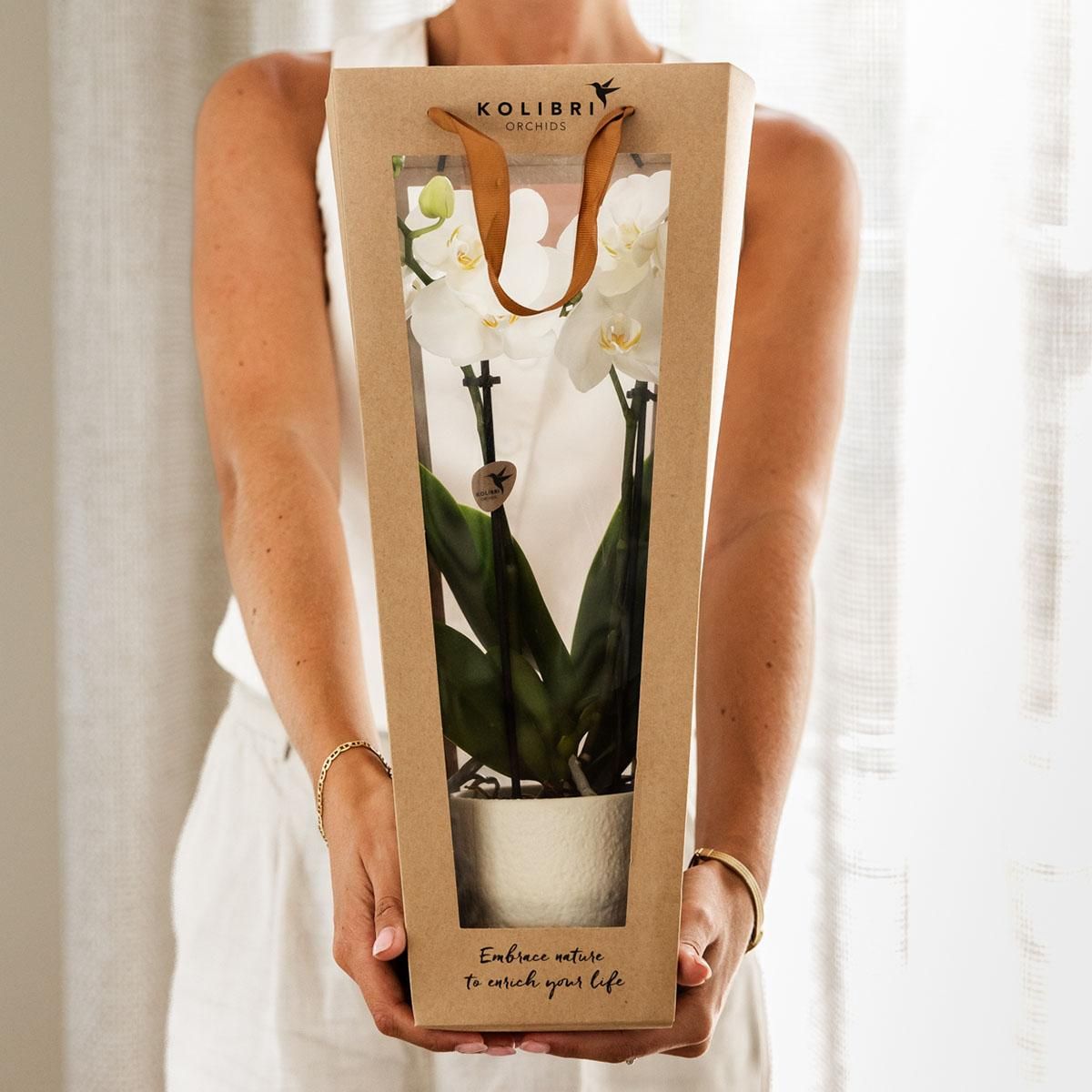 Planten cadeau veel succes | Lausanne orchidee met pot, kaart & cadeautas (7865885326712)
