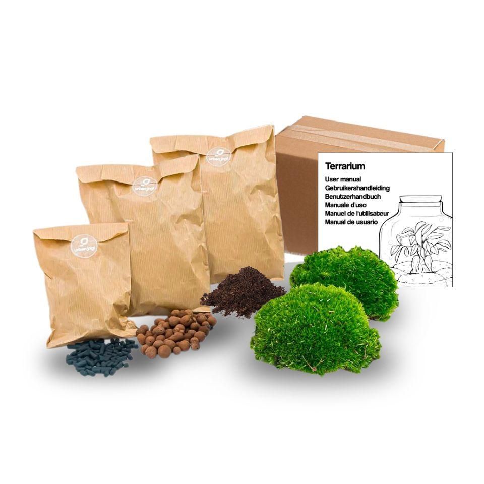Planten terrarium - Navulling - Startpakket - DIY - Maat S/M (8720872024509)