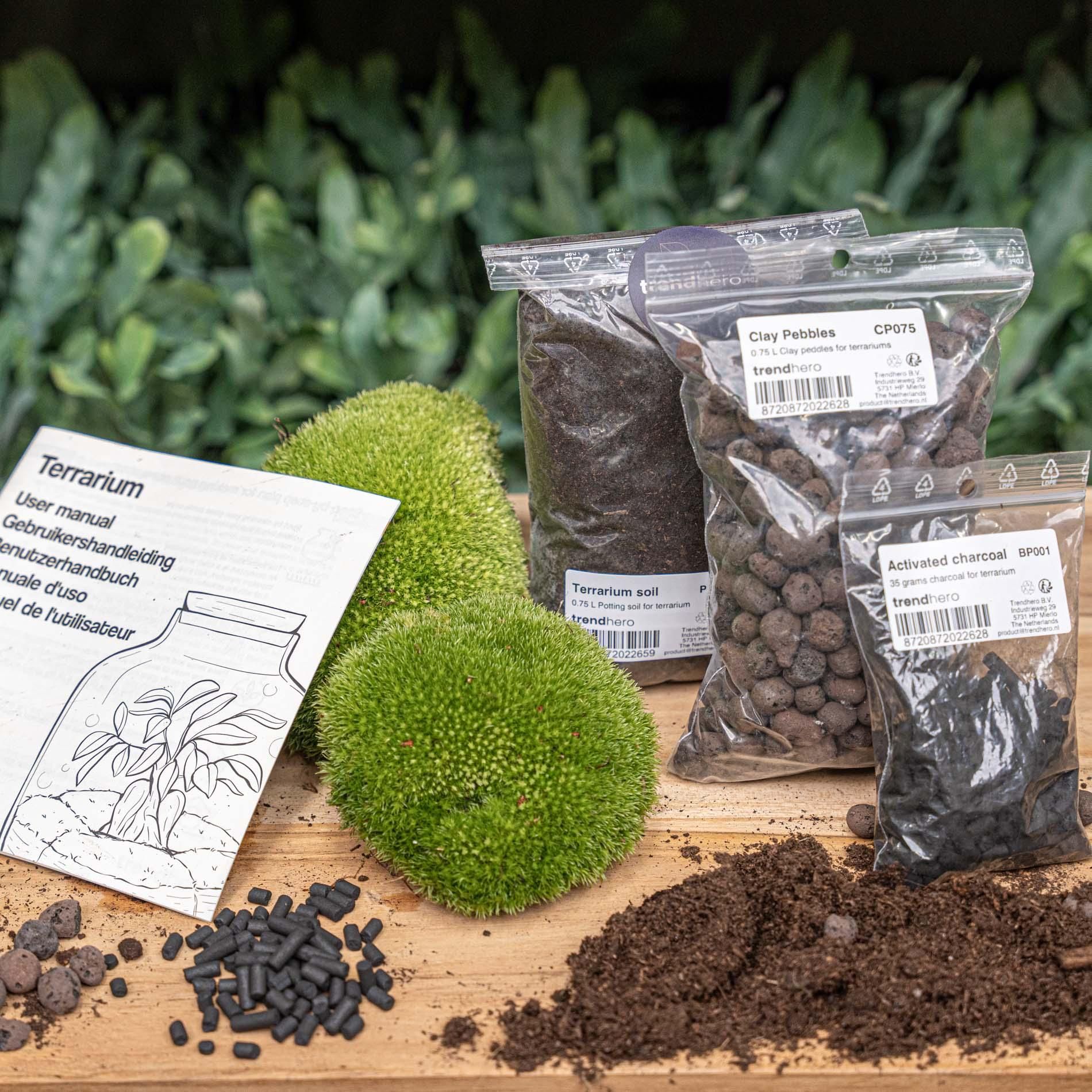 Planten terrarium - Navulling - Startpakket - DIY - Maat S/M (8720872024509)