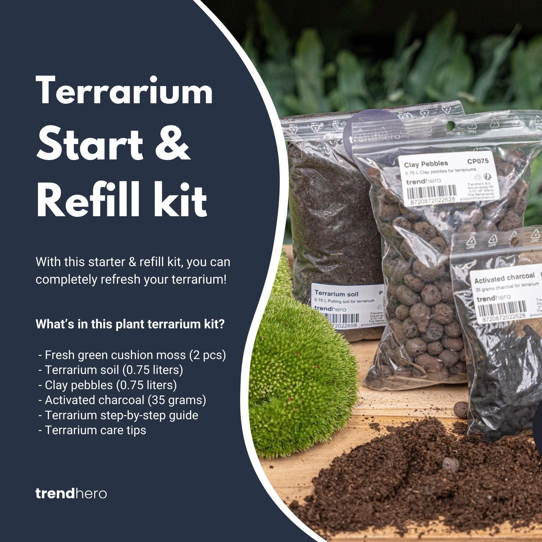 Planten terrarium - Navulling - Startpakket - DIY - Maat S/M (8720872024509)