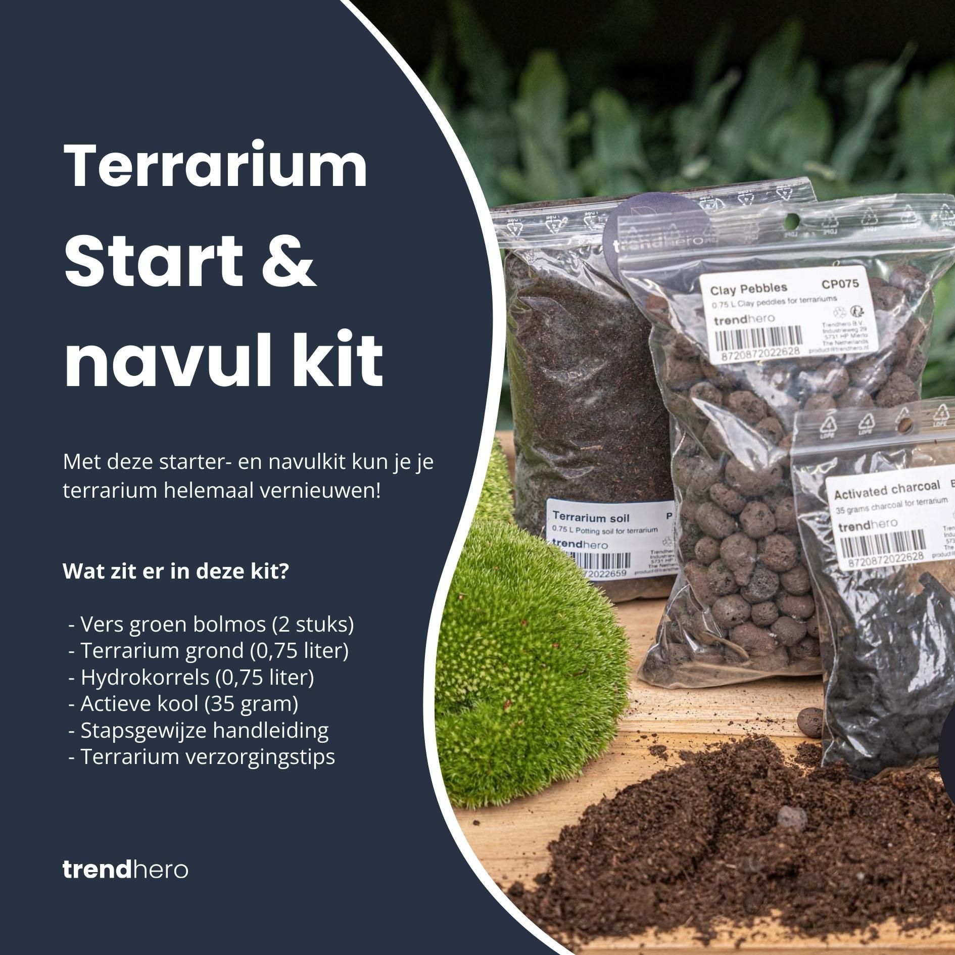 Planten terrarium - Navulling - Startpakket - DIY - Maat S/M (8720872024509)