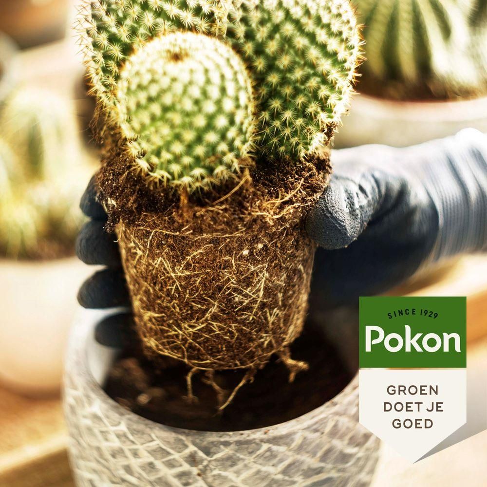 House of cactus Pokon cactus & vetplant - Potgrond - 5L (8711969005907)