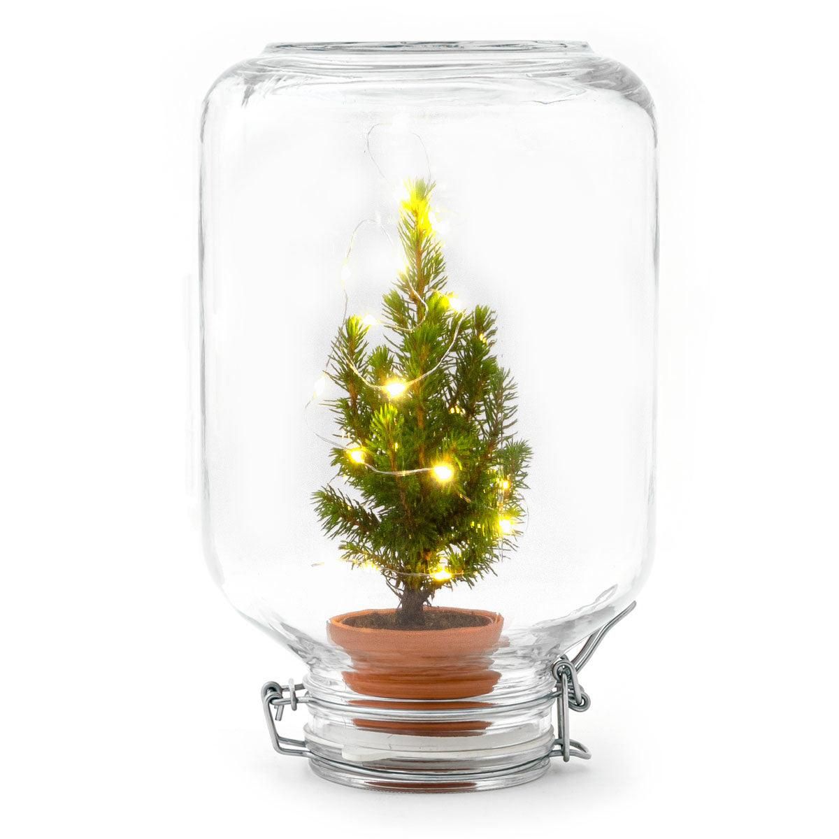 Easyplant - Christmas - Kerst decoratie (8720726958714)