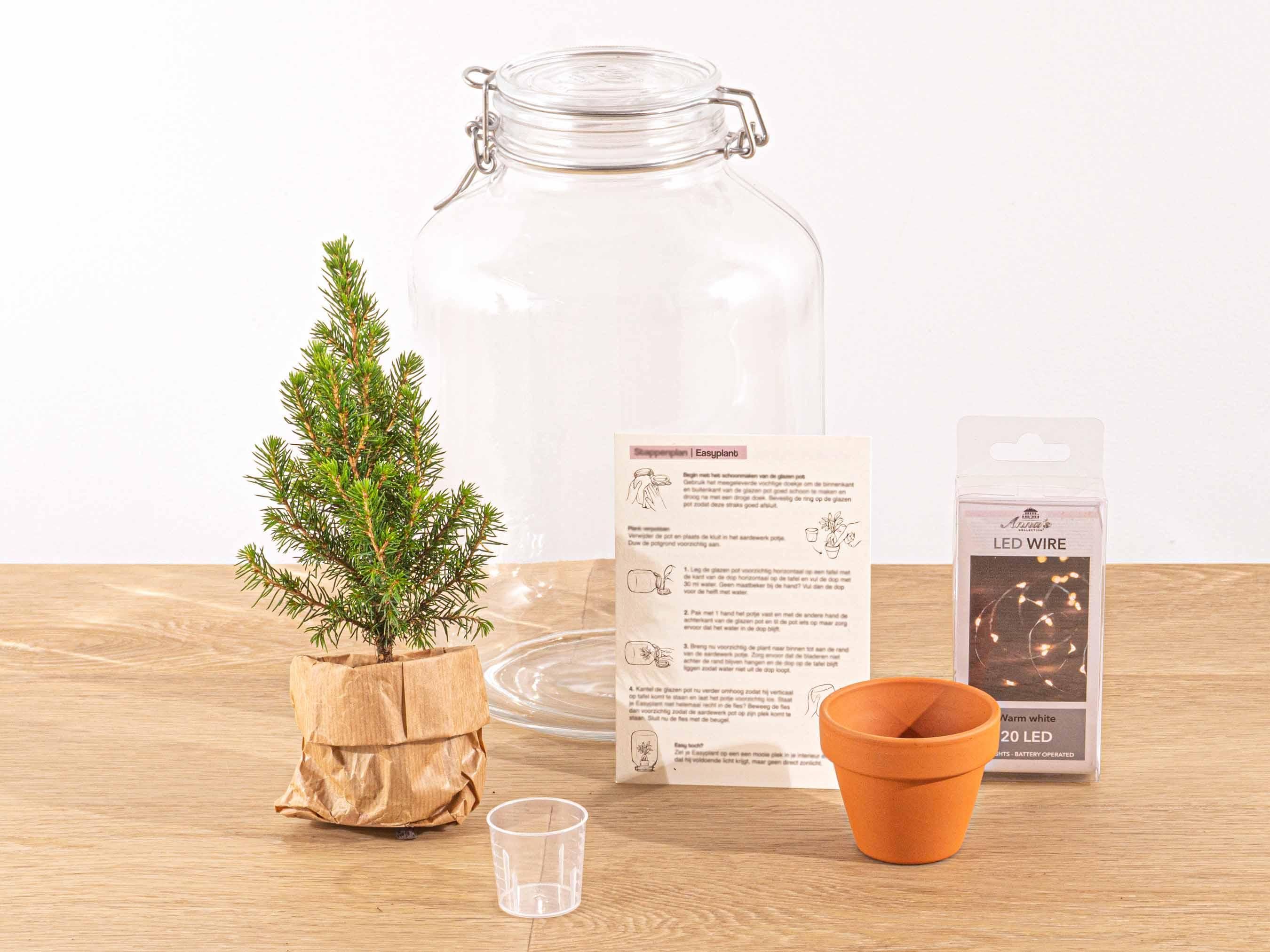 Easyplant - Christmas - Kerst decoratie (8720726958714)