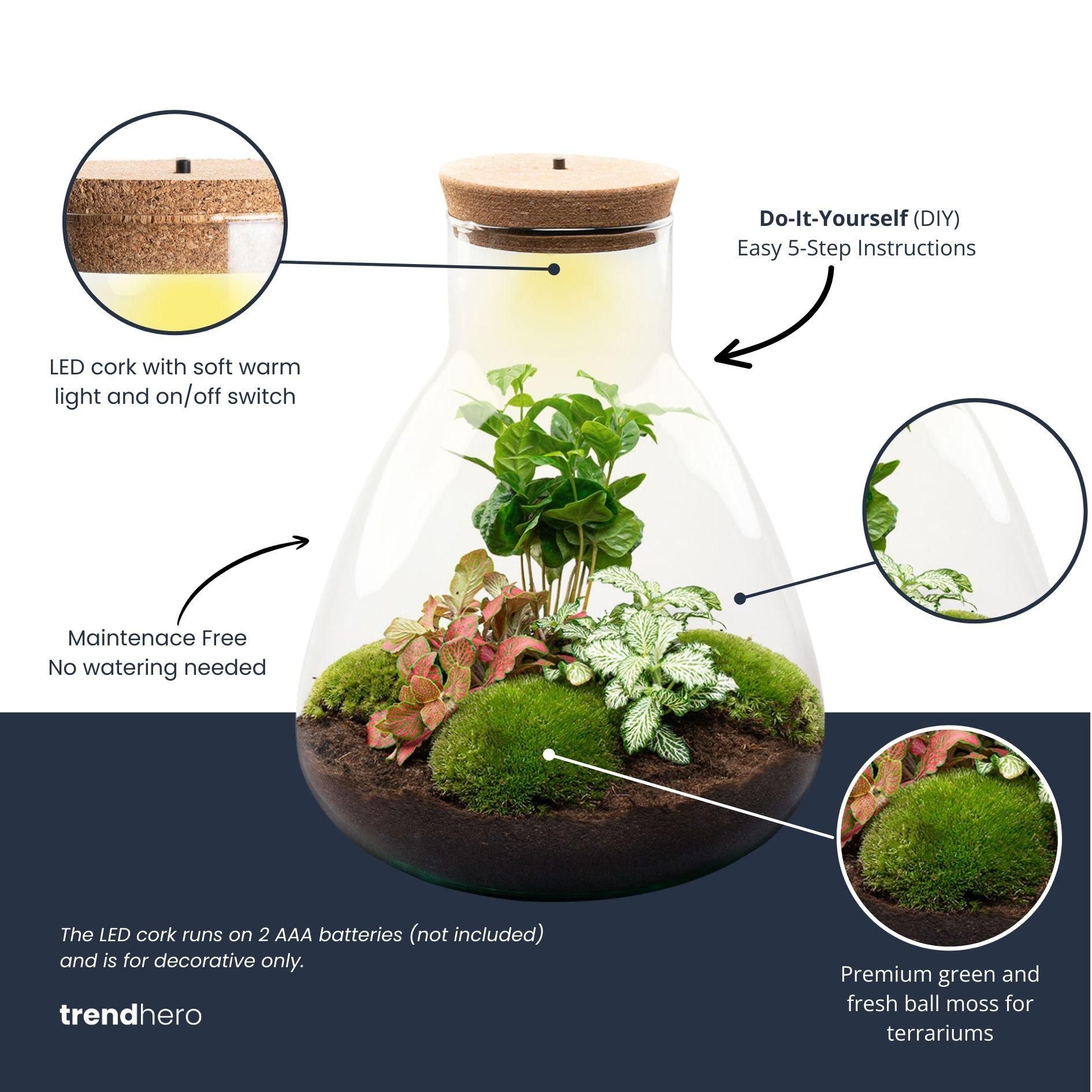 DIY terrarium - Sam Coffea met lamp - Bottle Garden - Normal (8720726958301)