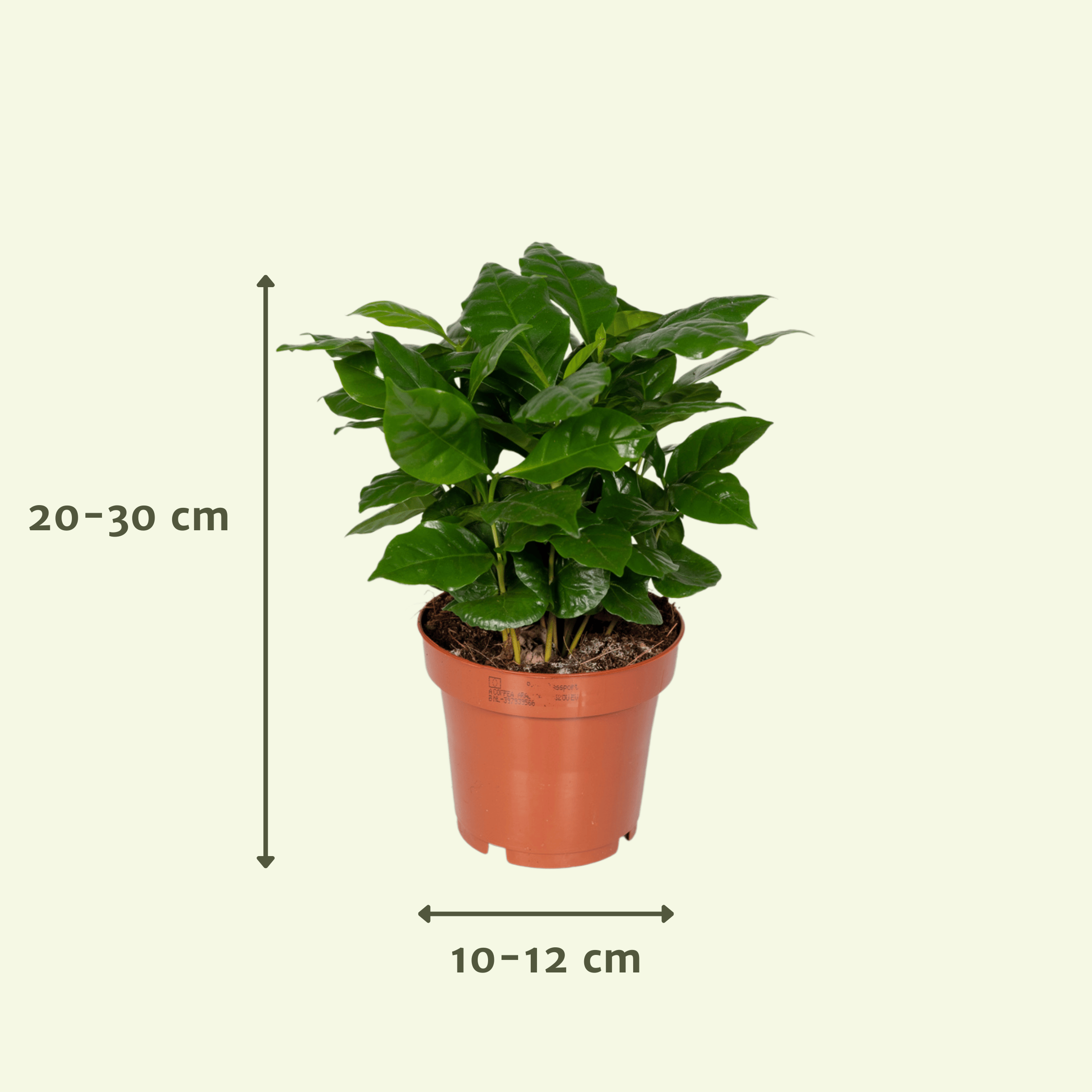 Verrassingsbox - - x5 (8720634287715)