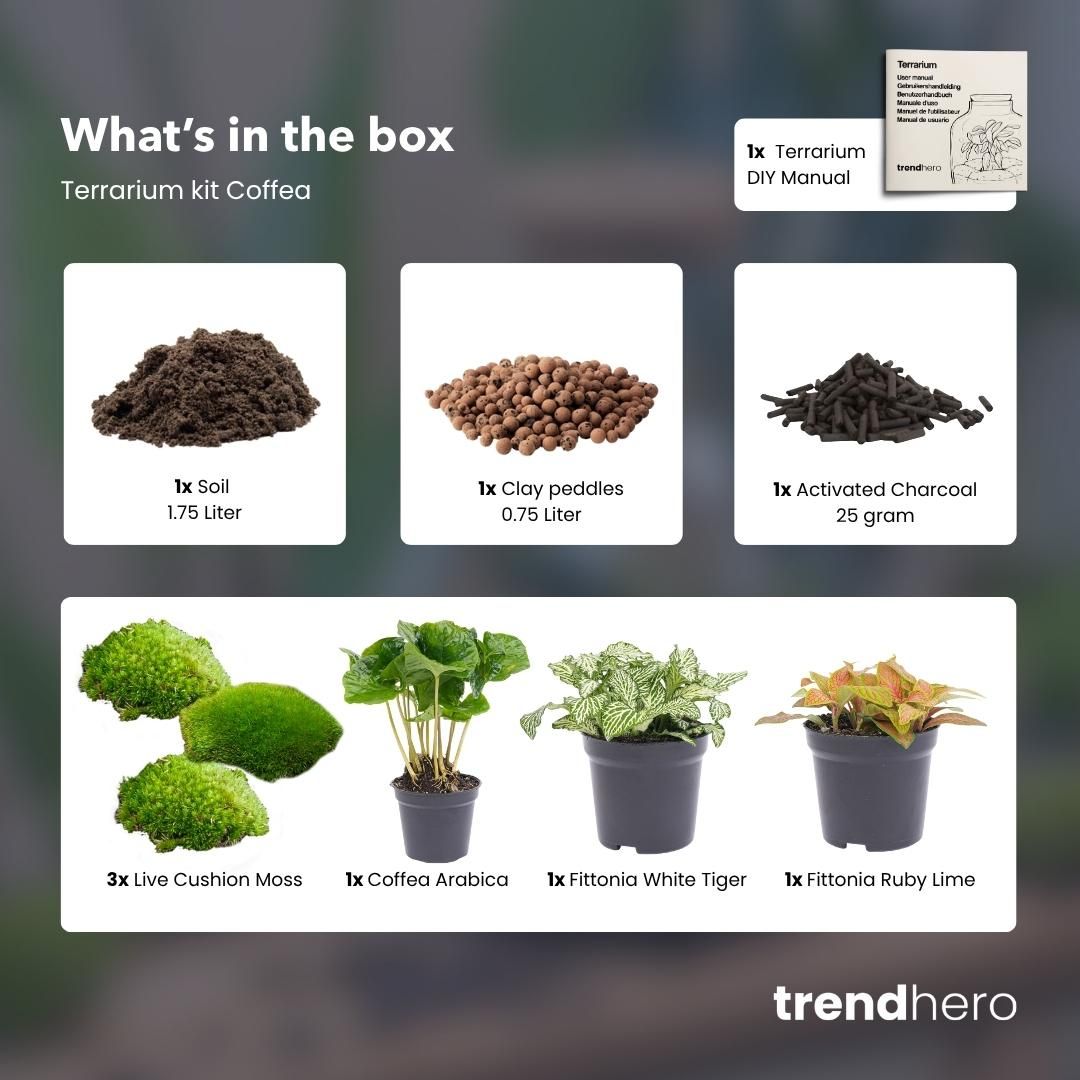 Planten terrarium pakket - Coffea Arabica - Navulling & Startpakket - DIY (8720872020563)