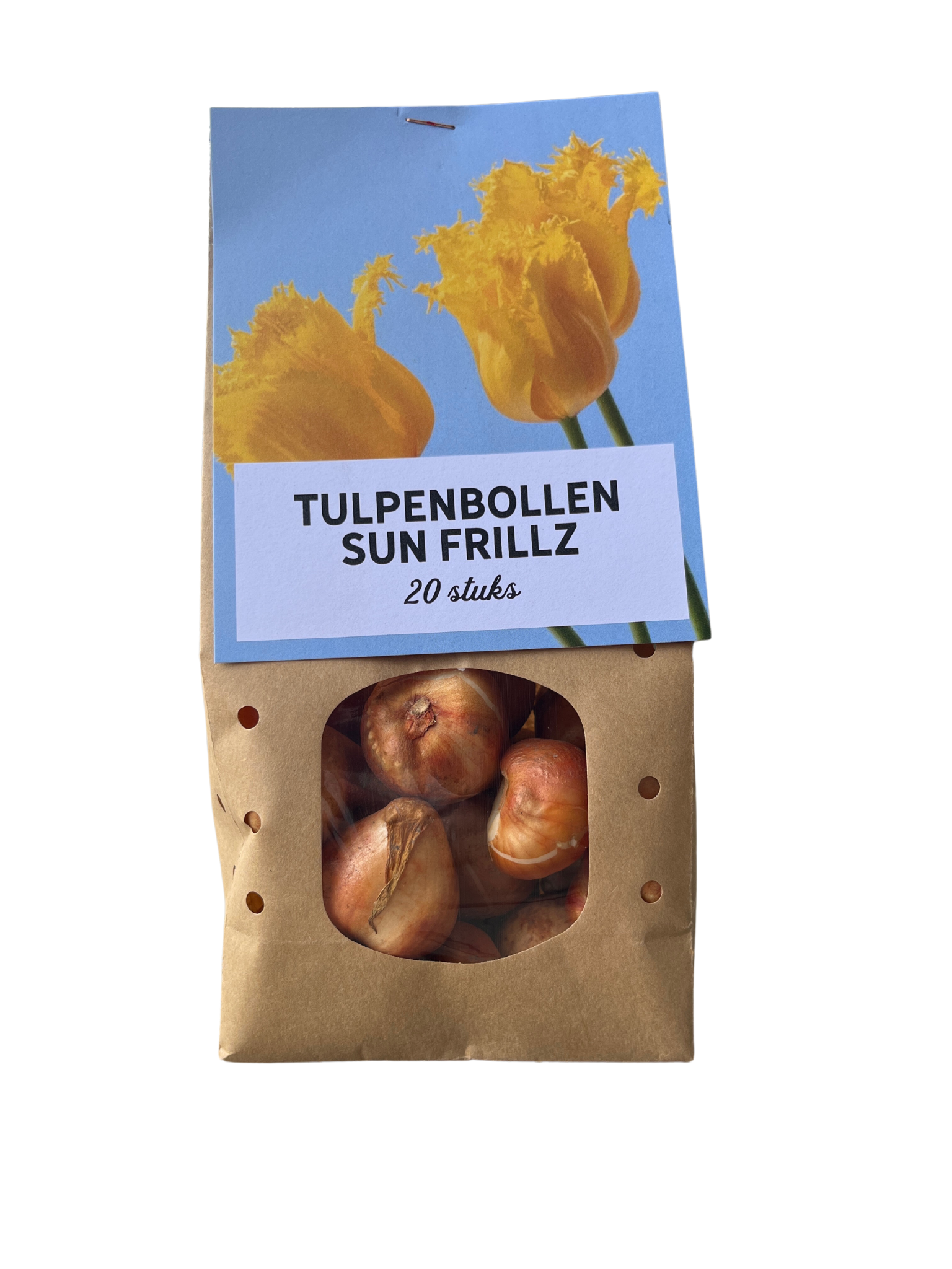 Tulpenbollen Sun Frillz – 20 Stuks | KH Bloembollen® | Gele Tulp met Kartelrand – Zonnig, Uniek & Speels – Voor Tuin of Pot – Maat 11/12 – (08720256864622)