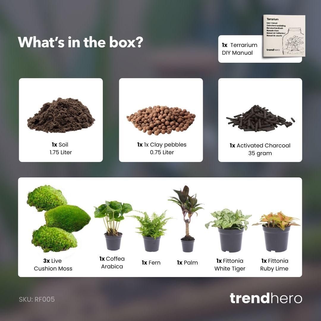 Planten terrarium navulling & startpakket - Jungle (8720872021171)