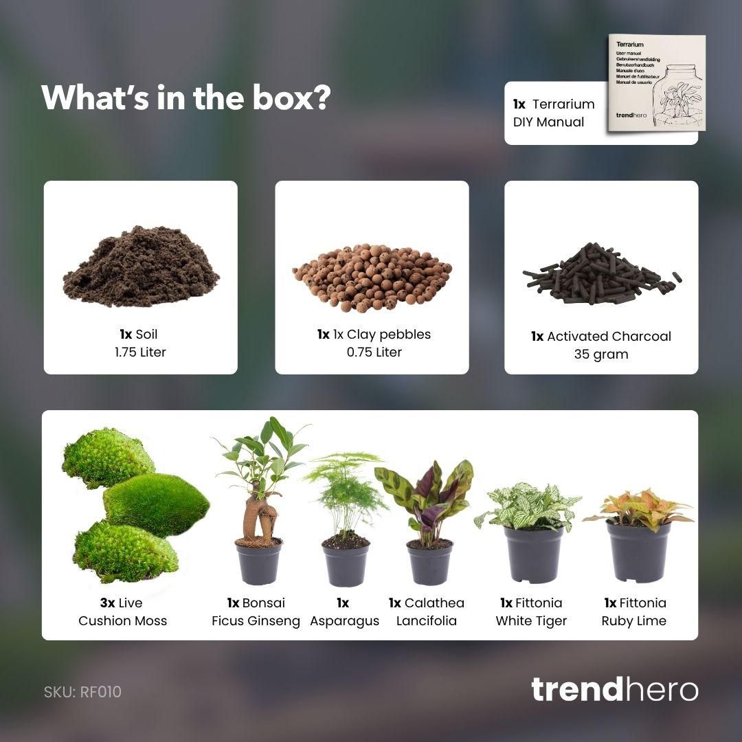 Planten terrarium navulling & Startpakket - 5 planten (8720872021614)