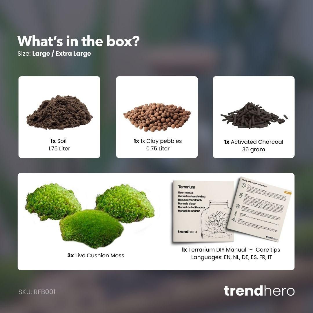 Planten terrarium navulling & startpakket - Maat L/XL (14656)