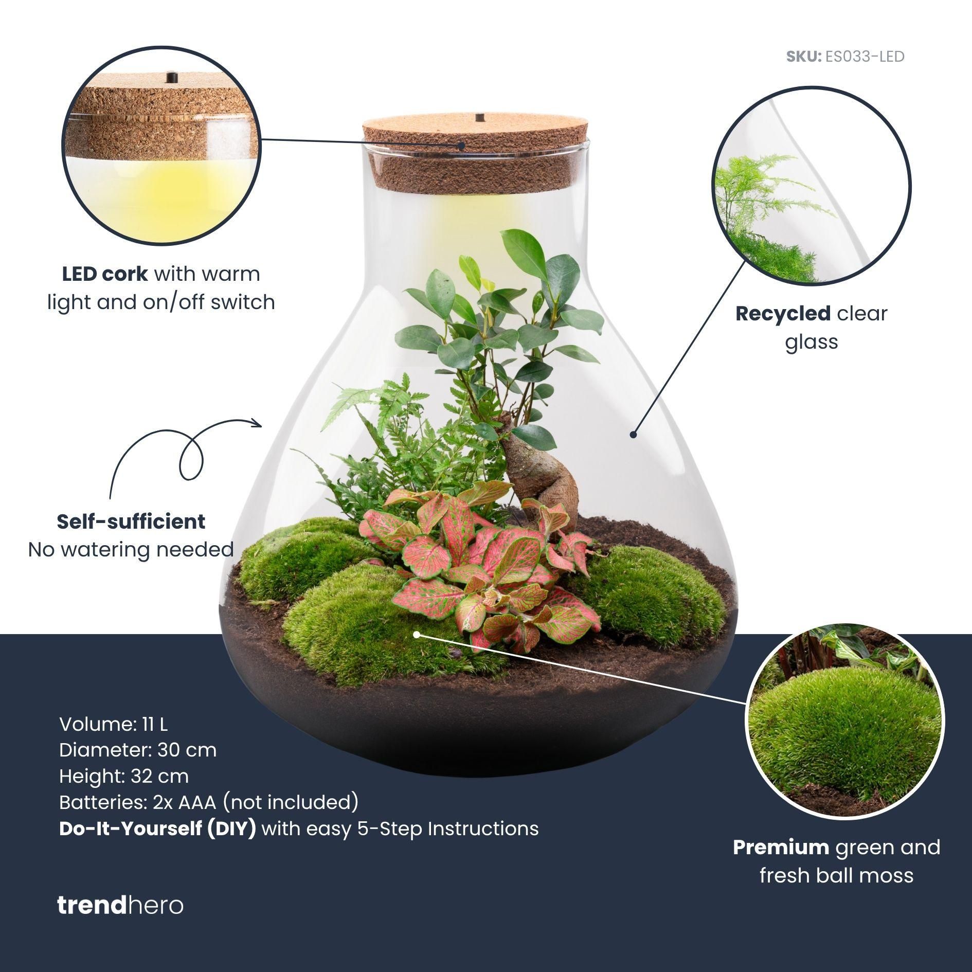 DIY planten terrarium met licht - Sam XL Bonsai - Ø 30 cm ↑ 32 cm (8720872022260)