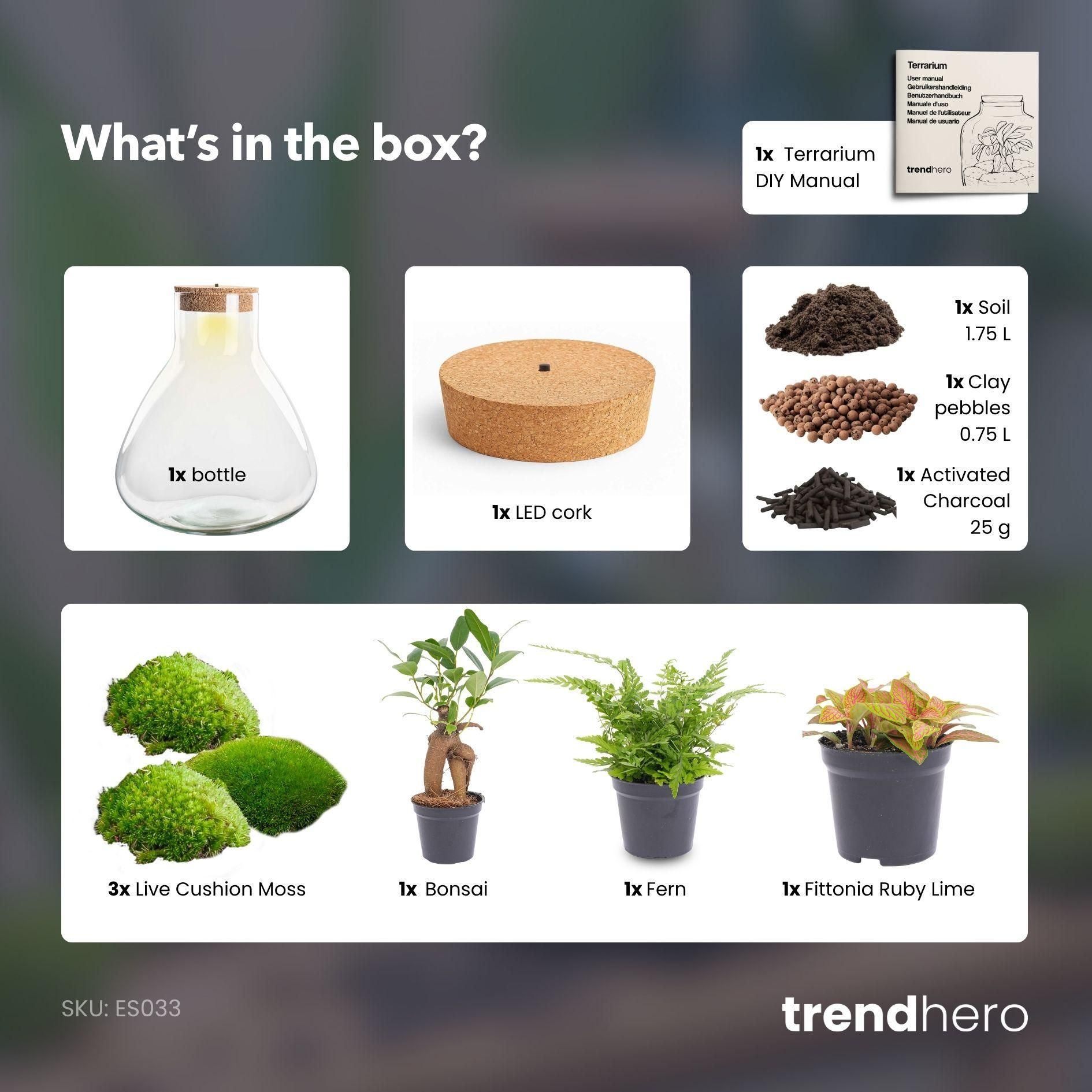 DIY planten terrarium met licht - Sam XL Bonsai - Ø 30 cm ↑ 32 cm (8720872022260)