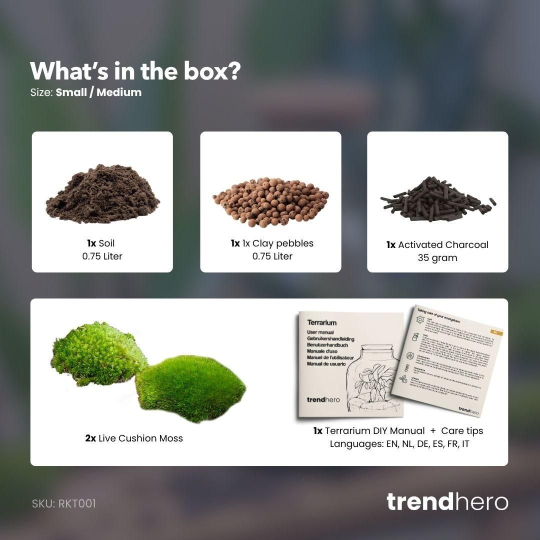 Planten terrarium navulling & startpakket - Maat S/M (8720872024509)