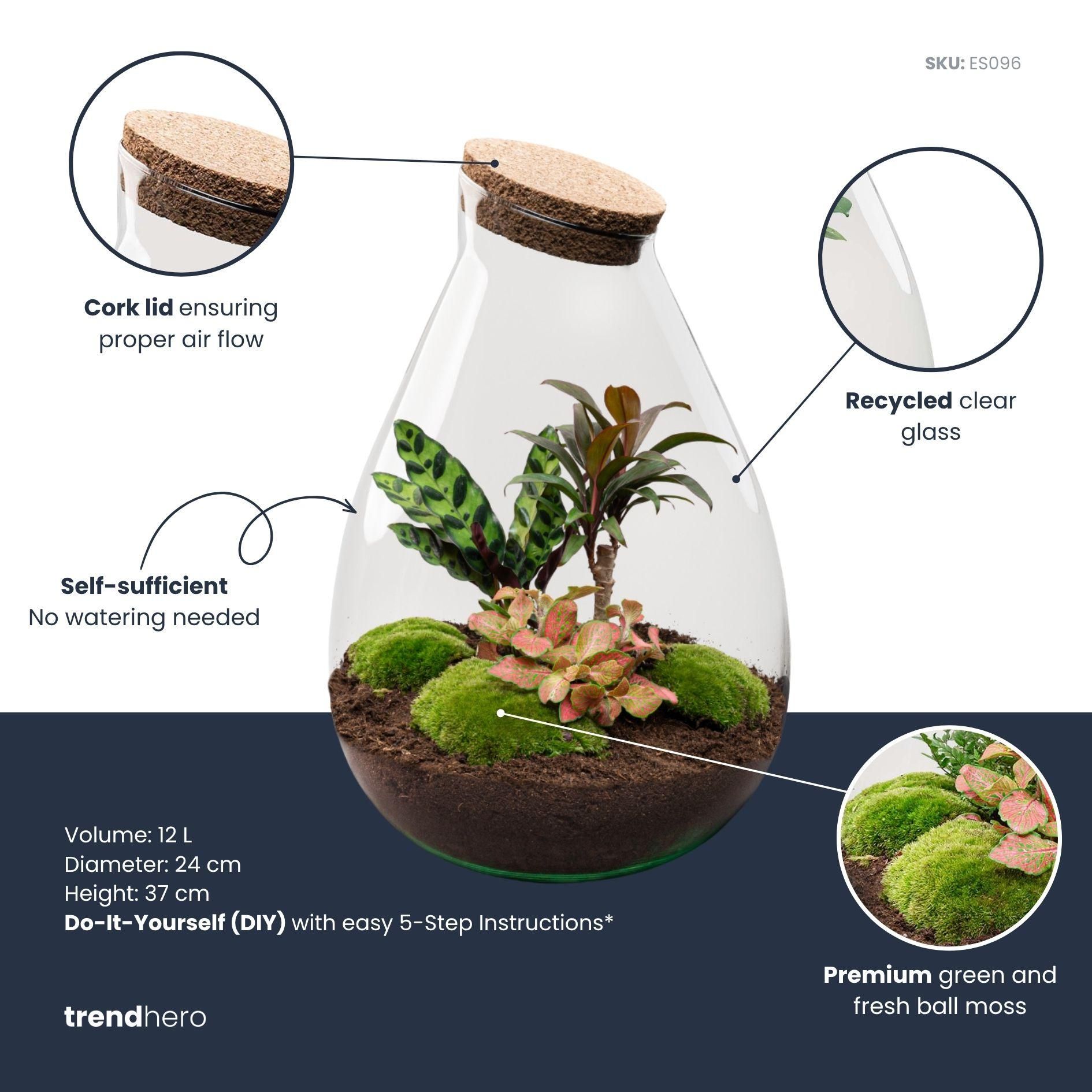 DIY Planten terrarium - Drop XL Palm - Ø 24 cm ↑ 37 cm - No tools (8720726958820)