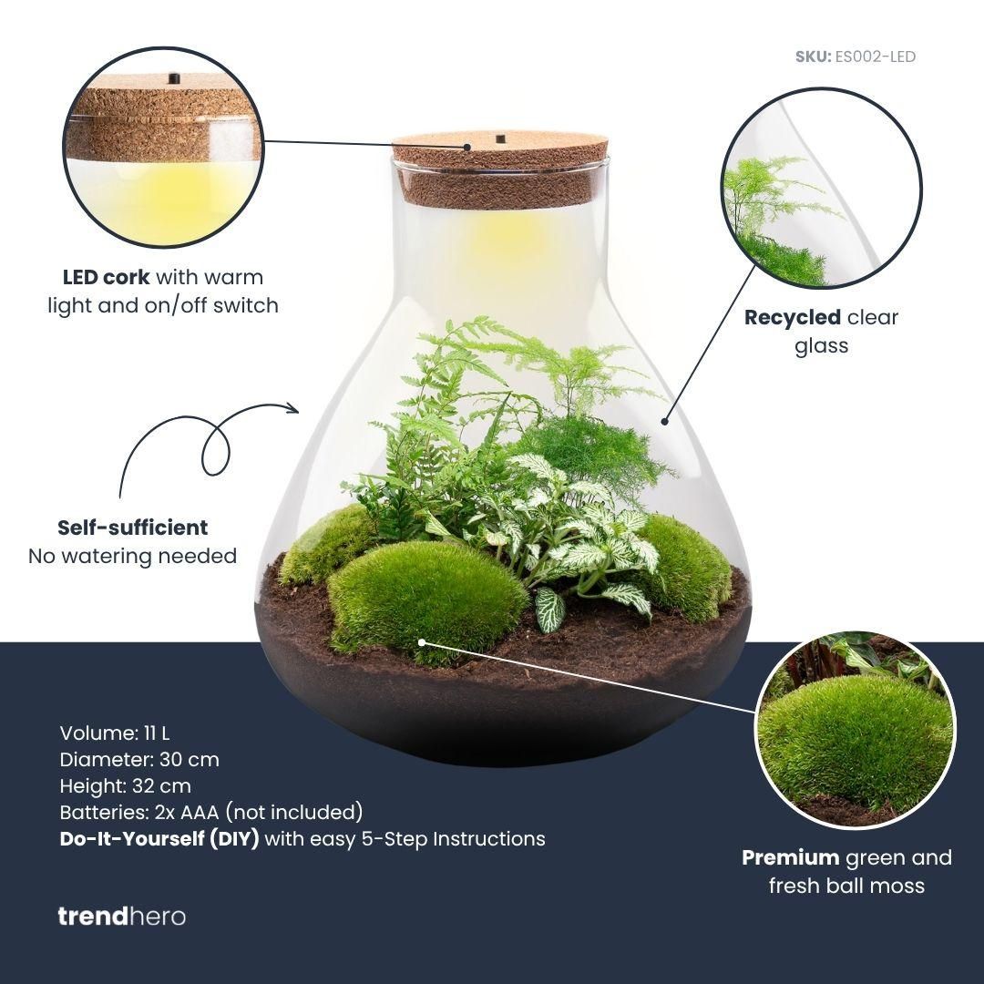 DIY Planten terrarium met licht - Sam XL Green - Ø 30 cm ↑ 32 cm - No tools (8719326972411)