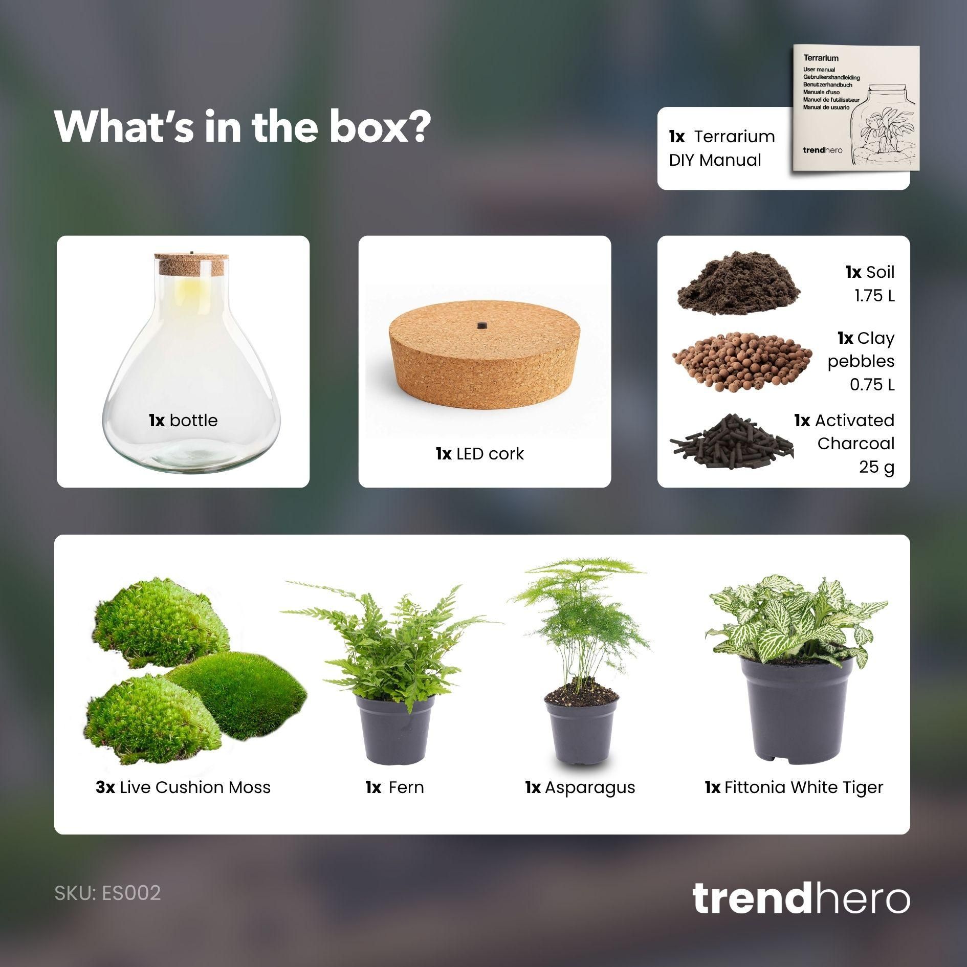 DIY Planten terrarium met licht - Sam XL Green - Ø 30 cm ↑ 32 cm - No tools (8719326972411)