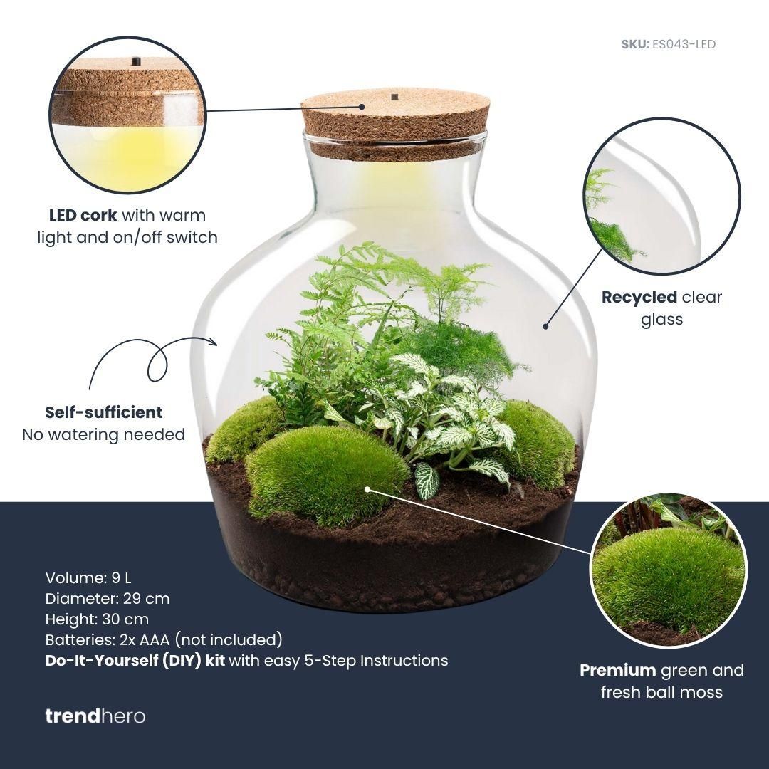 DIY Planten terrarium met licht - Fat Joe Green - Ø 29 cm ↑ 30 cm - No tools (8720726958639)