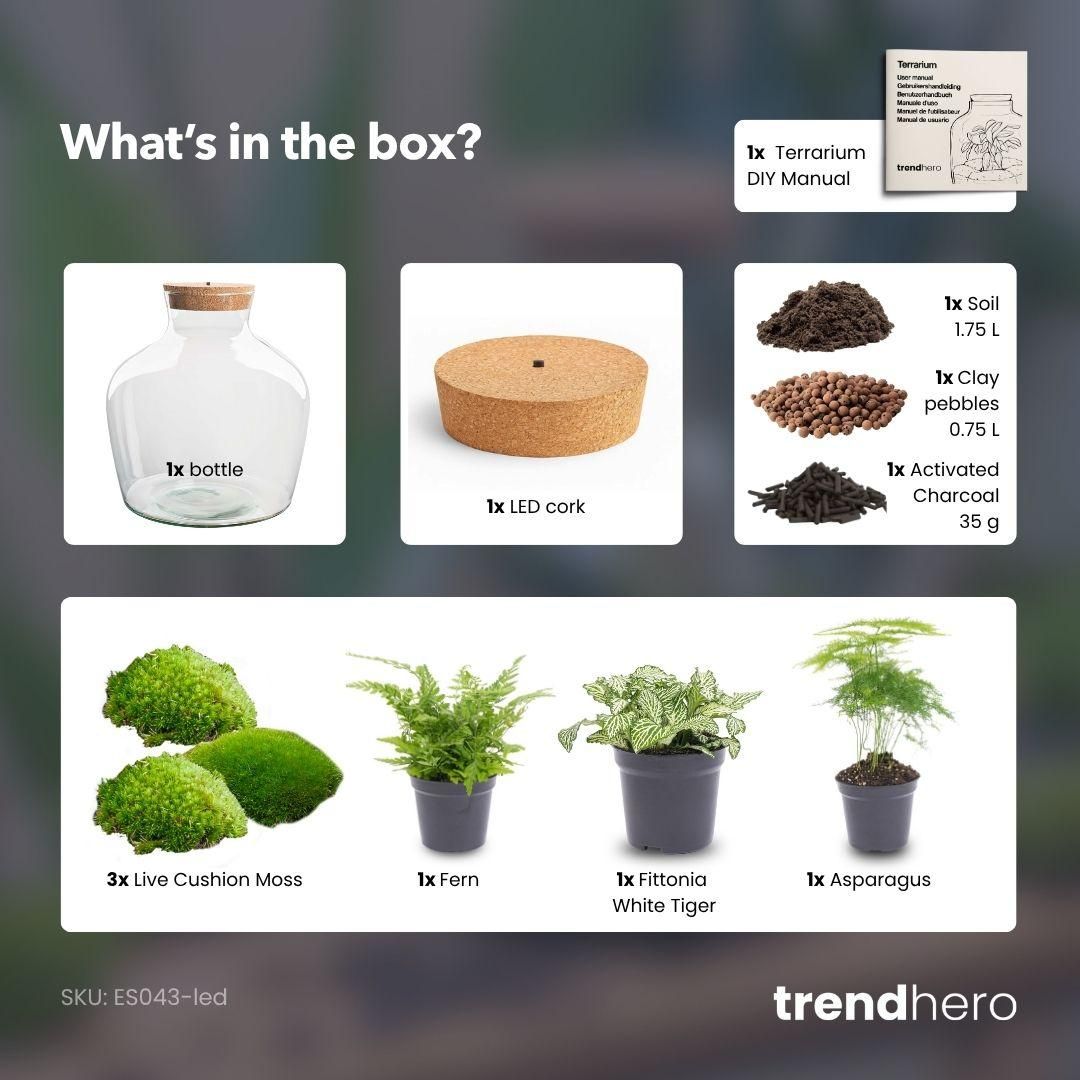DIY Planten terrarium met licht - Fat Joe Green - Ø 29 cm ↑ 30 cm - No tools (8720726958639)