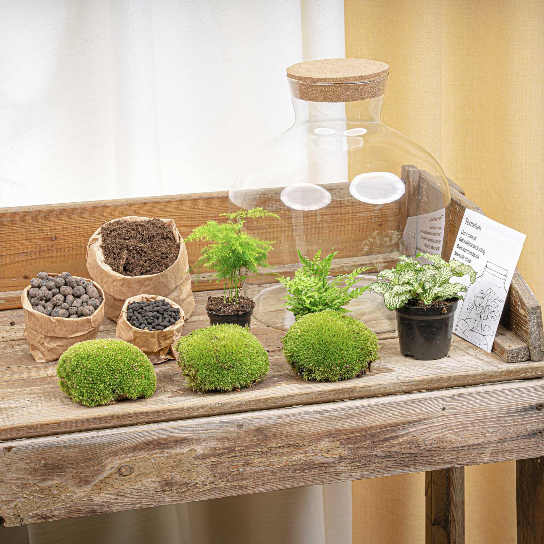 DIY Planten terrarium met licht - Fat Joe Green - Ø 29 cm ↑ 30 cm - No tools (8720726958639)