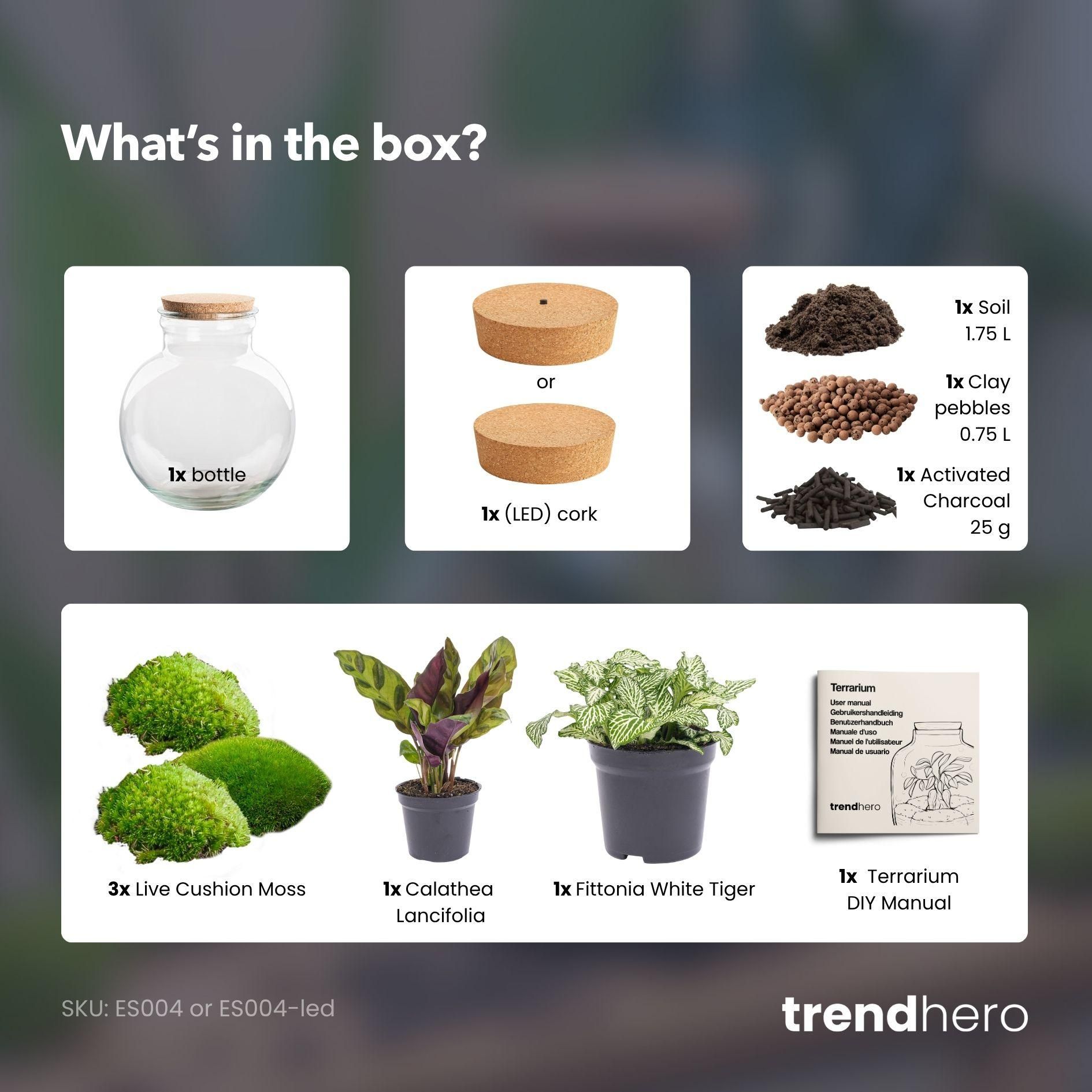 DIY Planten terrarium (met licht) - Teddy - Ø 25 cm ↑ 26,5 cm - No tools (8719327448649)