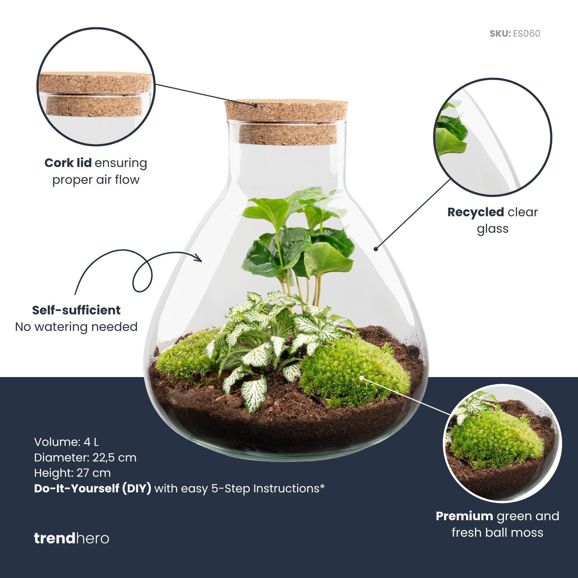 DIY Planten terrarium – Sammie Coffea White – ↕ 27 cm (8719326972404)