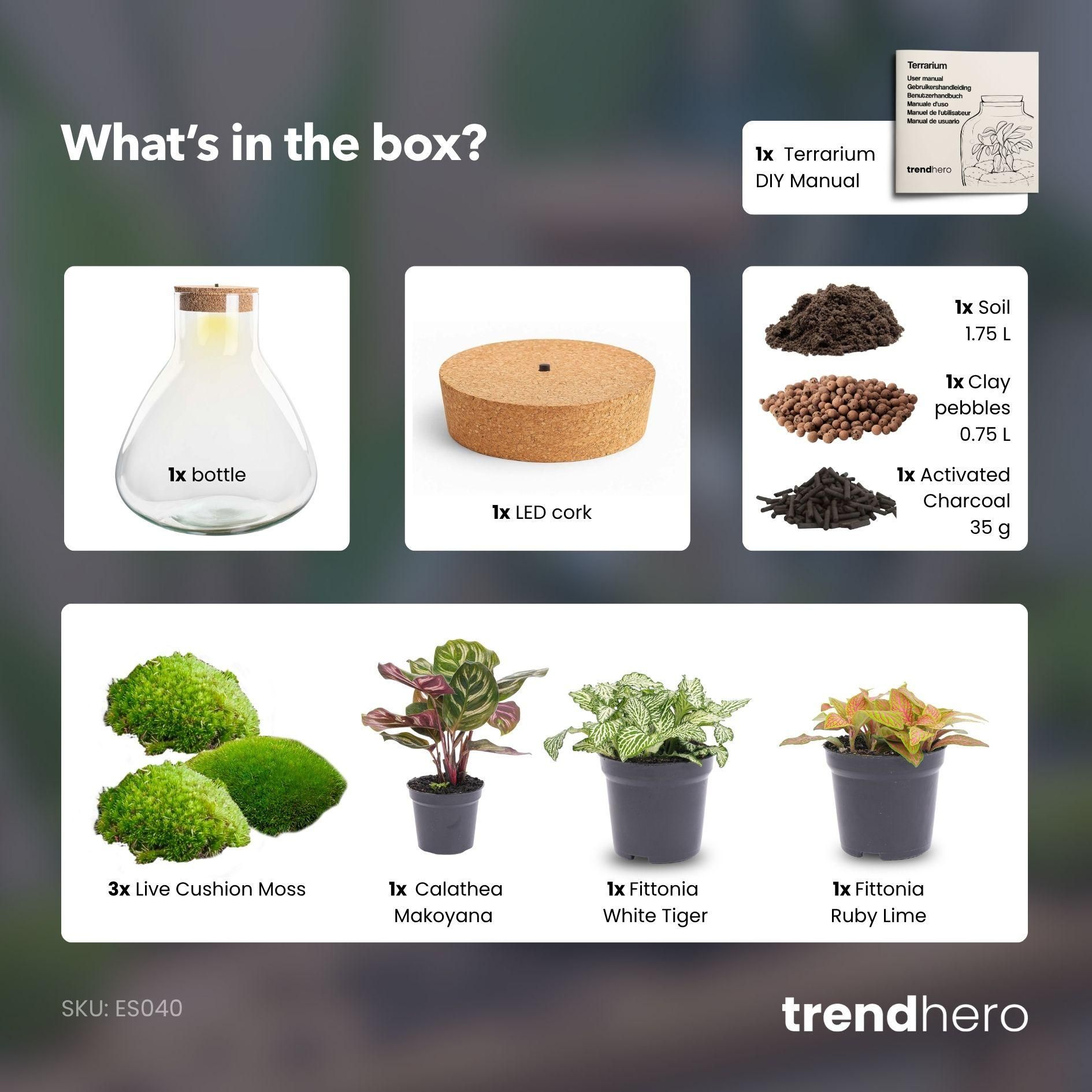 DIY Planten terrarium met licht - Sam XL Red - Ø 30 cm ↑ 32 cm - No tools (8720726958097)