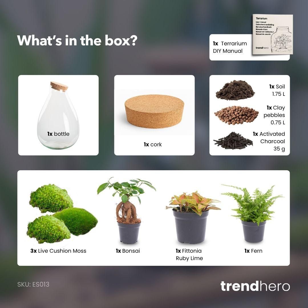 DIY Planten terrarium - Drop XL Bonsai 'red' - Ø 24 cm ↑ 37 cm - No tools (8719327448632)