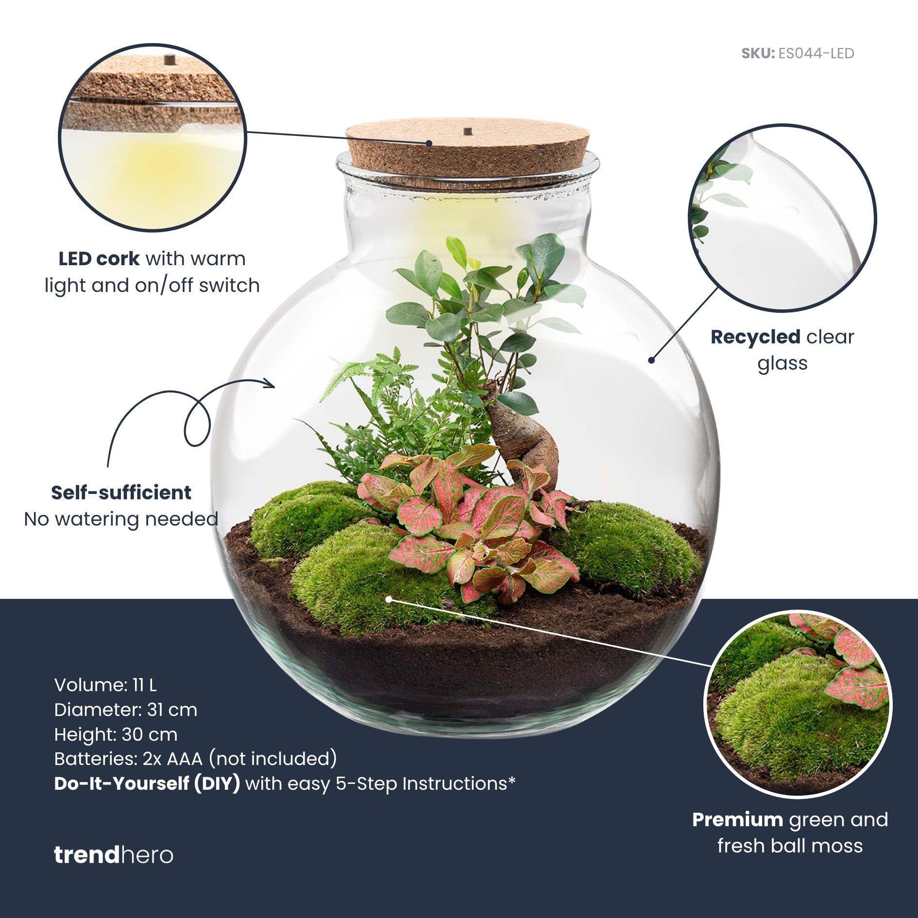 DIY Planten terrarium met licht - Bolder Bob Bonsai - Ø 31 cm ↑ 30 cm (8720872022994)