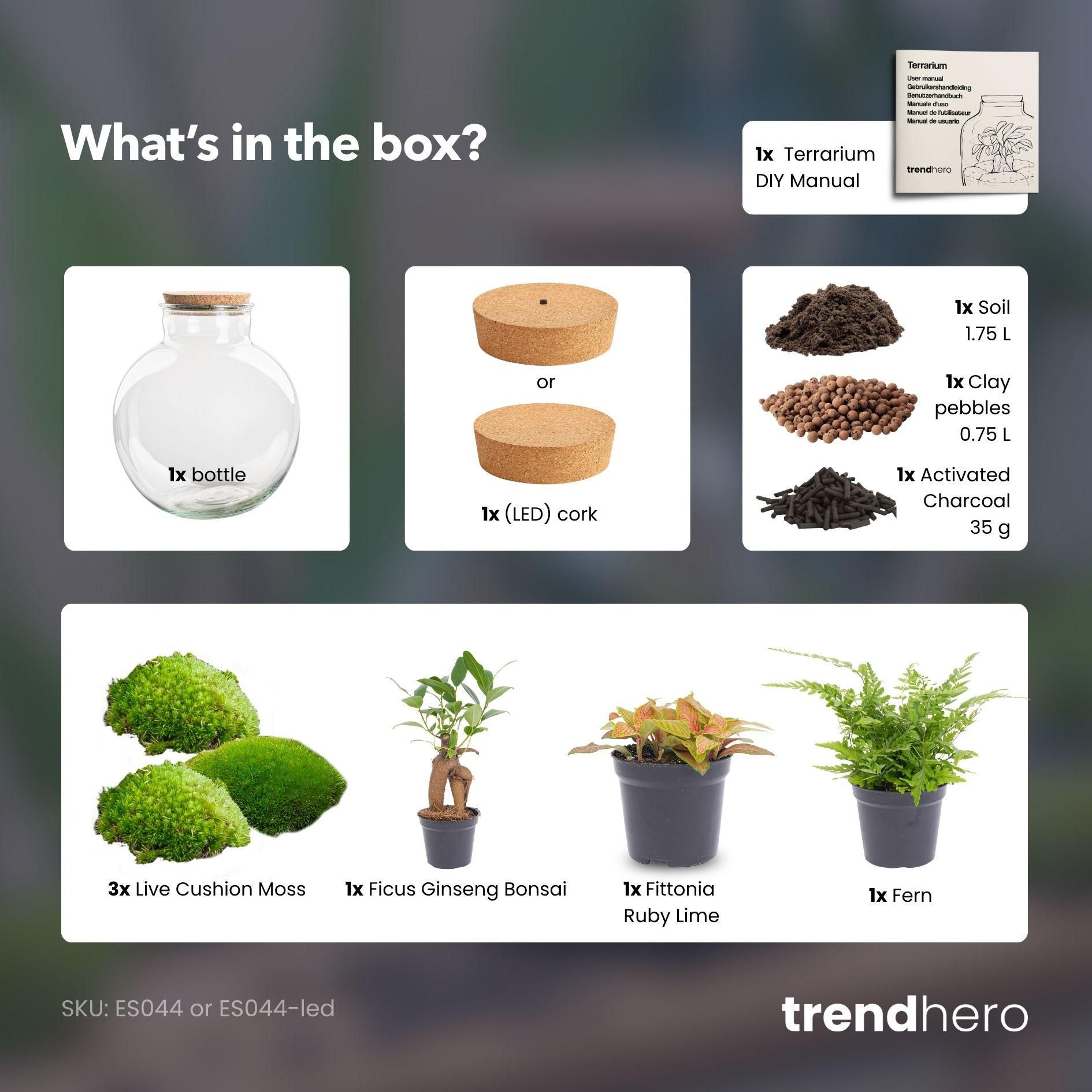 DIY Planten terrarium met licht - Bolder Bob Bonsai - Ø 31 cm ↑ 30 cm (8720872022994)