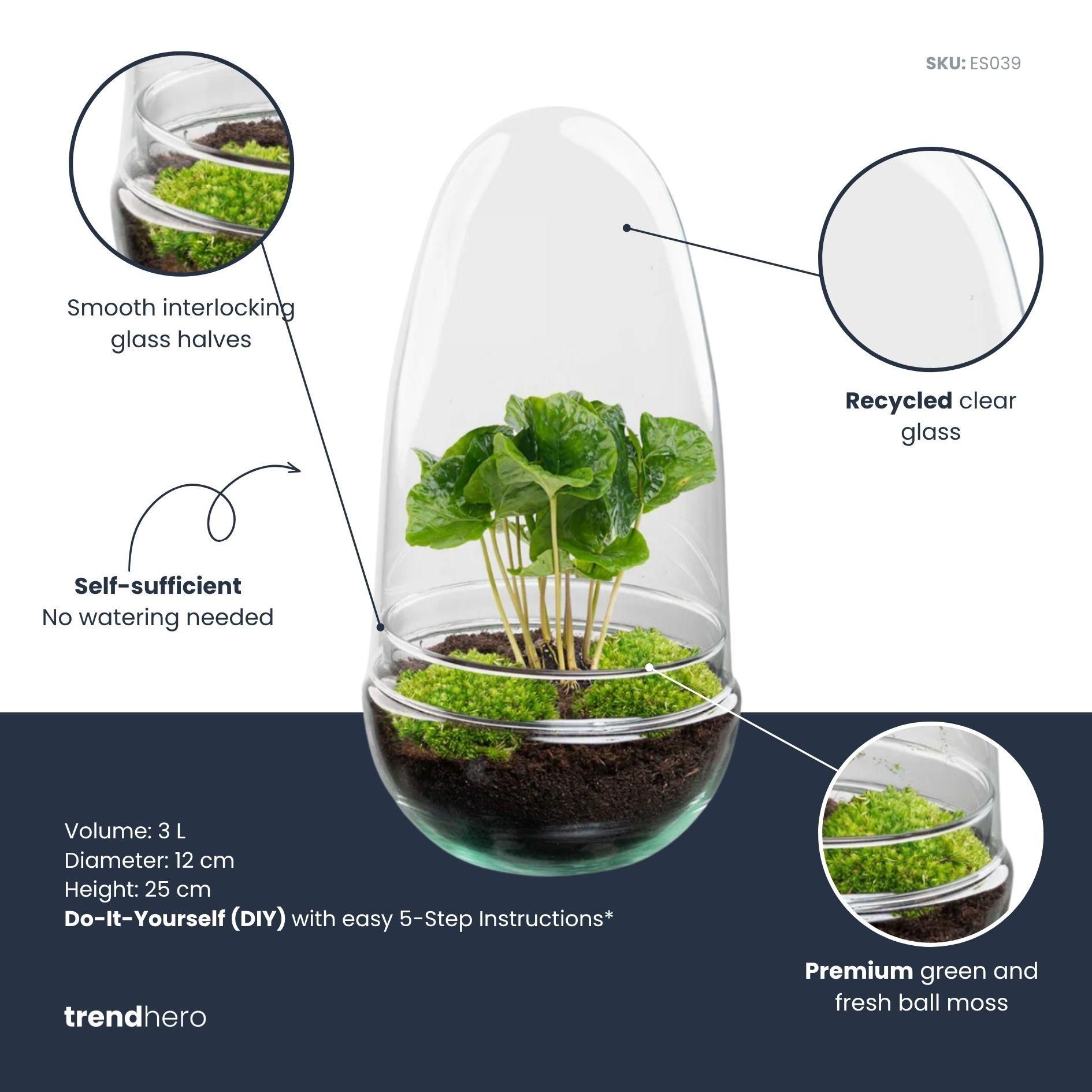 DIY Planten terrarium tweedelig bolglas - Egg Coffea - Ø 12 cm ↑ 25 cm (8720872020150)