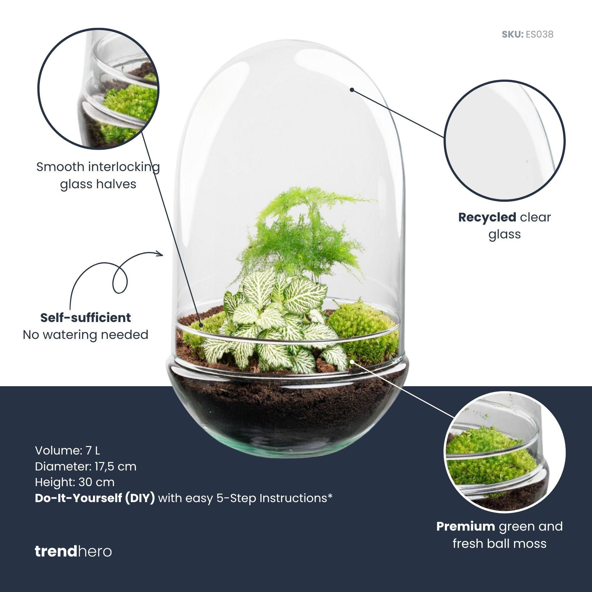 DIY Planten terrarium tweedelig bolglas - Egg XL - Ø 17,5 cm ↑ 30 cm (8720872020181)