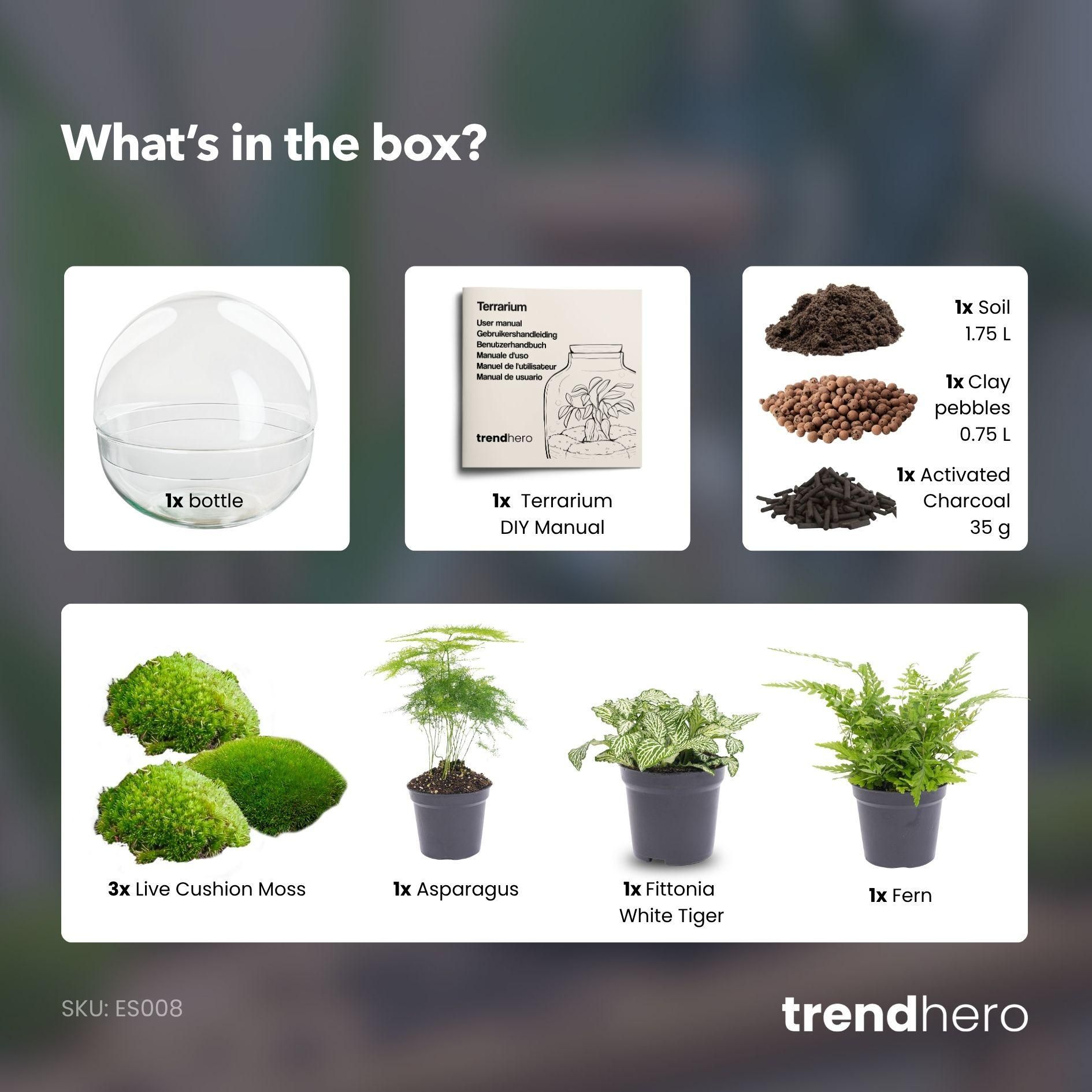 DIY Planten terrarium tweedelig bolglas - Dome XL -Ø 28 cm ↑ 28 cm - No tools (8719326972497)