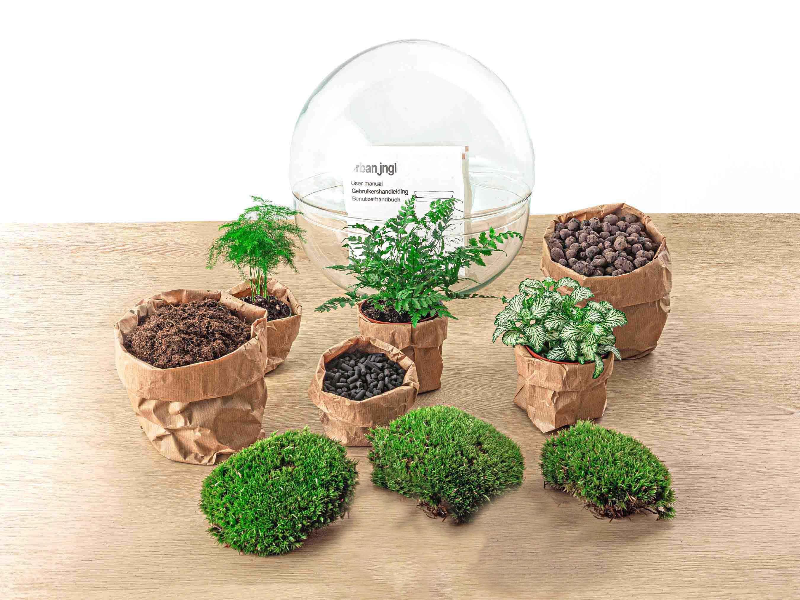 DIY Planten terrarium tweedelig bolglas - Dome XL -Ø 28 cm ↑ 28 cm - No tools (8719326972497)