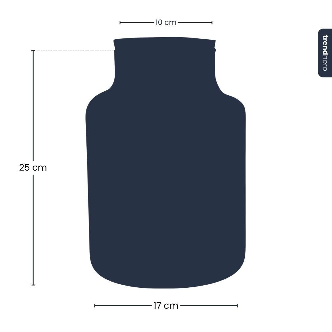 Frosty Kerstmis terrarium - Planten terrarium DIY kit Christmas - - Ø 17 cm ↑ 25 cm (8720872025223)