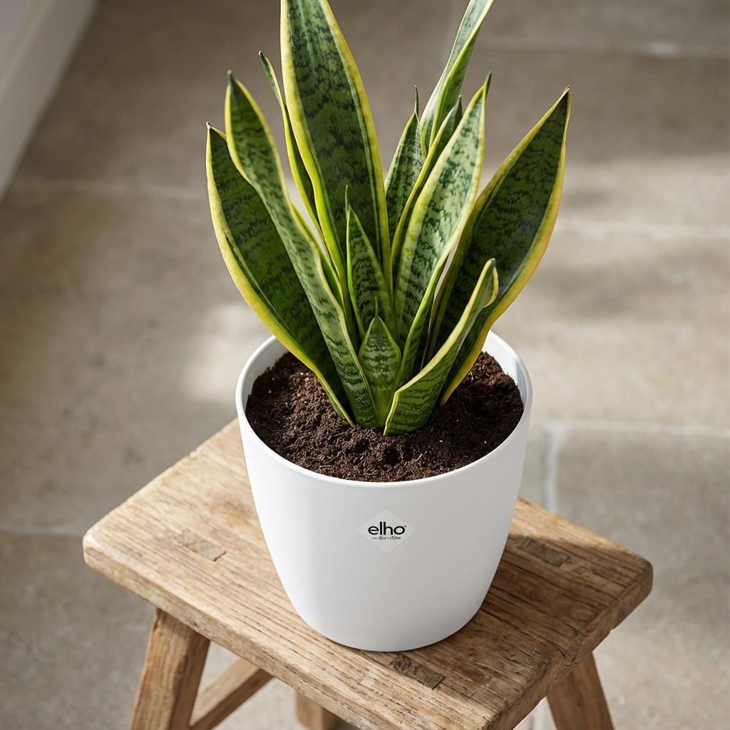 ELHO Brussels rond 25cm wit (8711904072339)