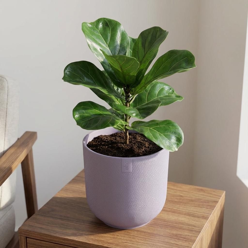 Lock Pot Elho Jazz Round Lavender Lilac - D23 (30568)